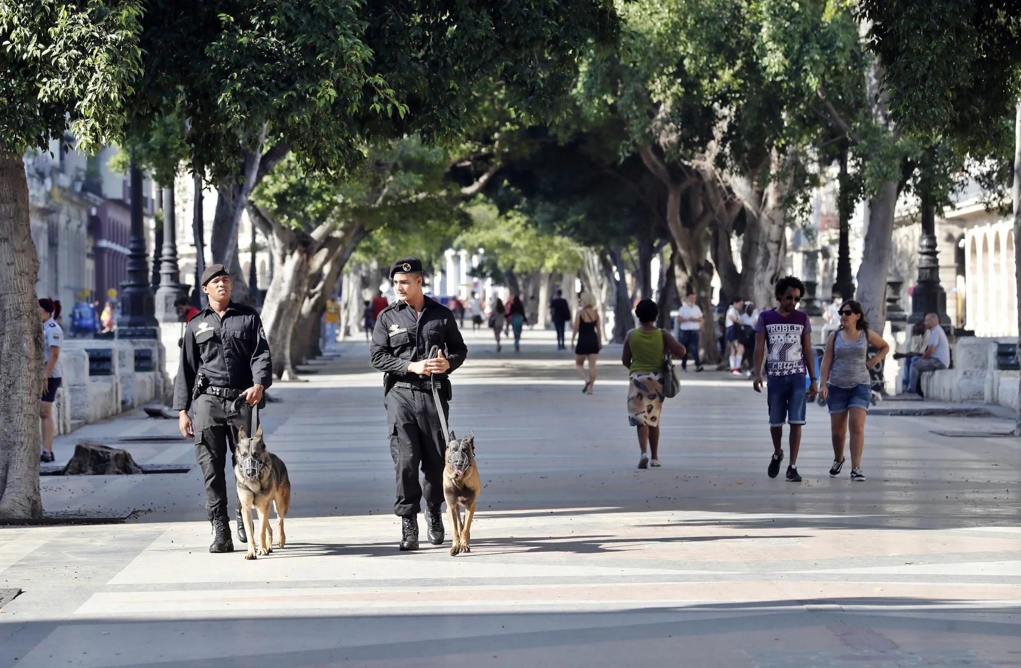 Más allá del castigo y el olvido: ¿qué hacer con los militares, militantes y colaboracionistas?