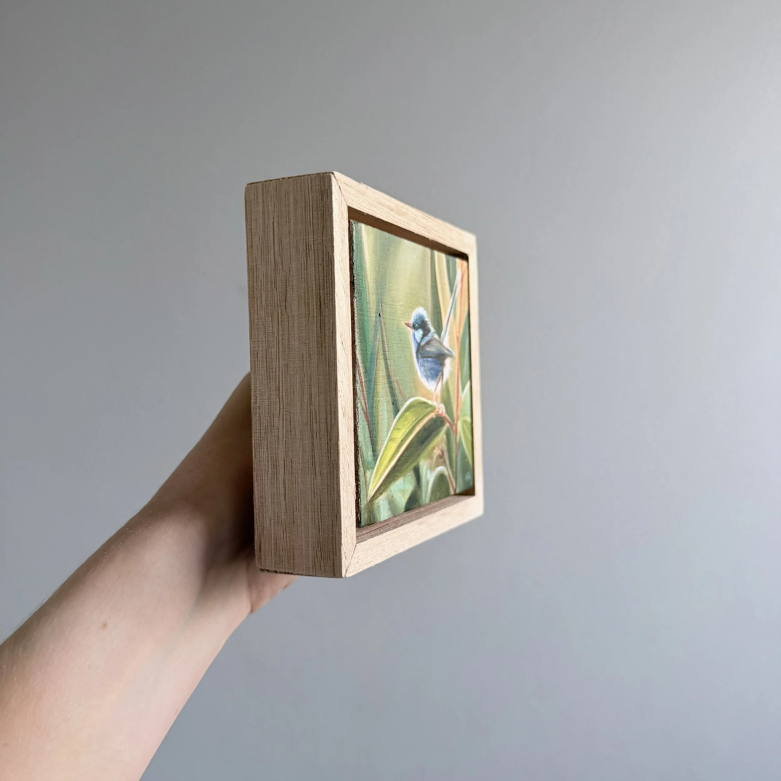 Photo 8-1-2026, 11 20 09 am.jpg