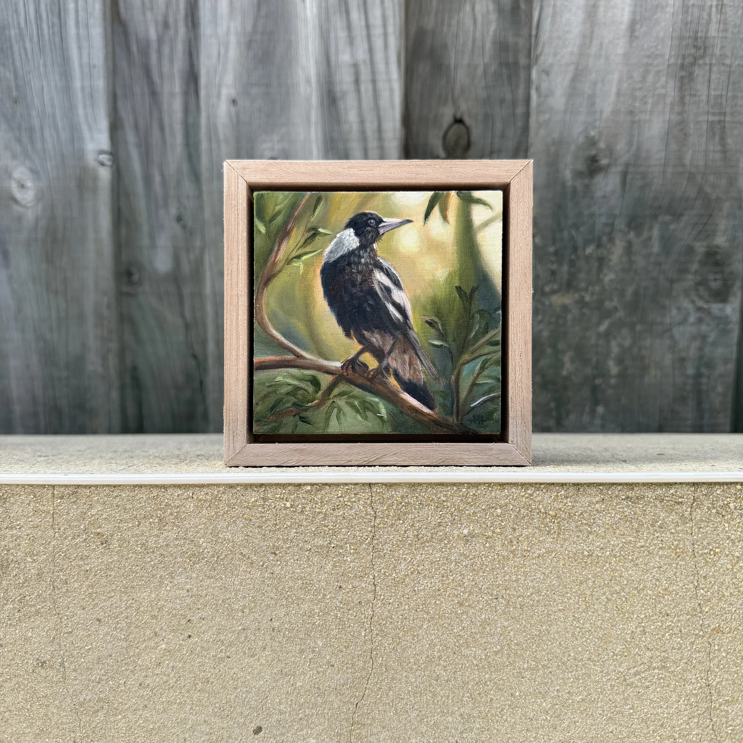 Photo 8-1-2026, 11 14 52 am.jpg