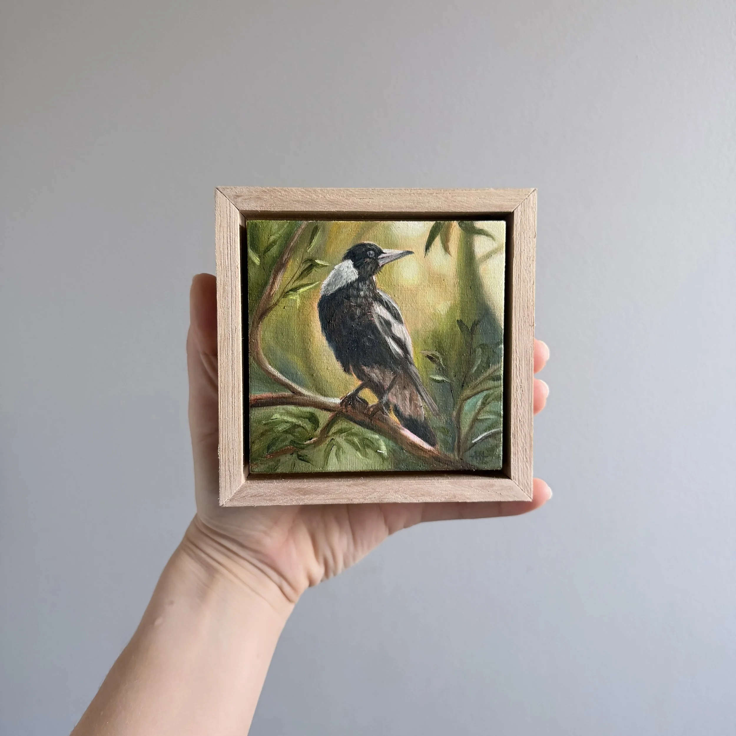 Photo 8-1-2026, 11 21 46 am.jpg