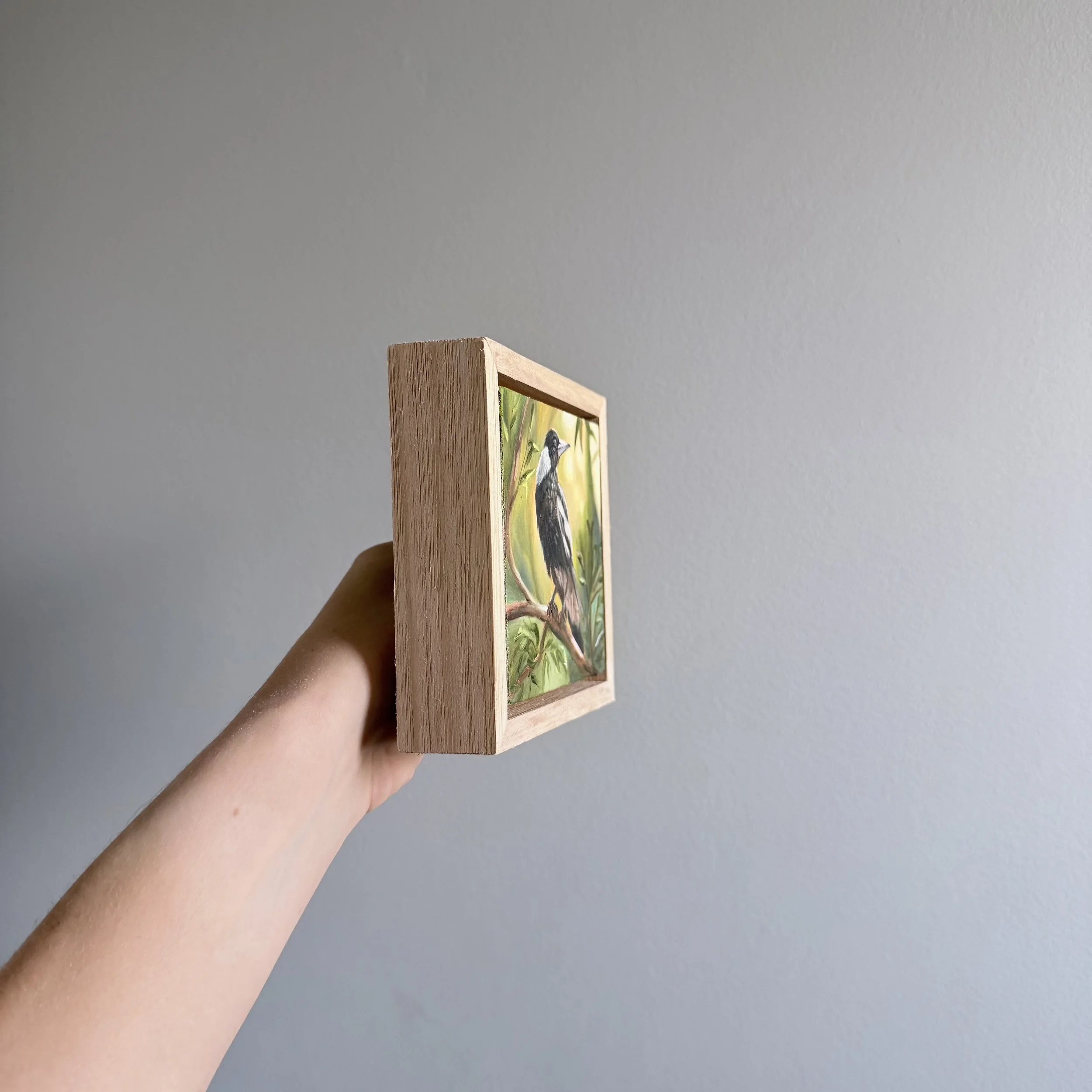 Photo 8-1-2026, 11 21 39 am.jpg