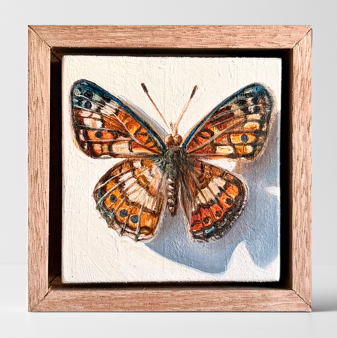 A Tiny Spirit (Butterfly).png
