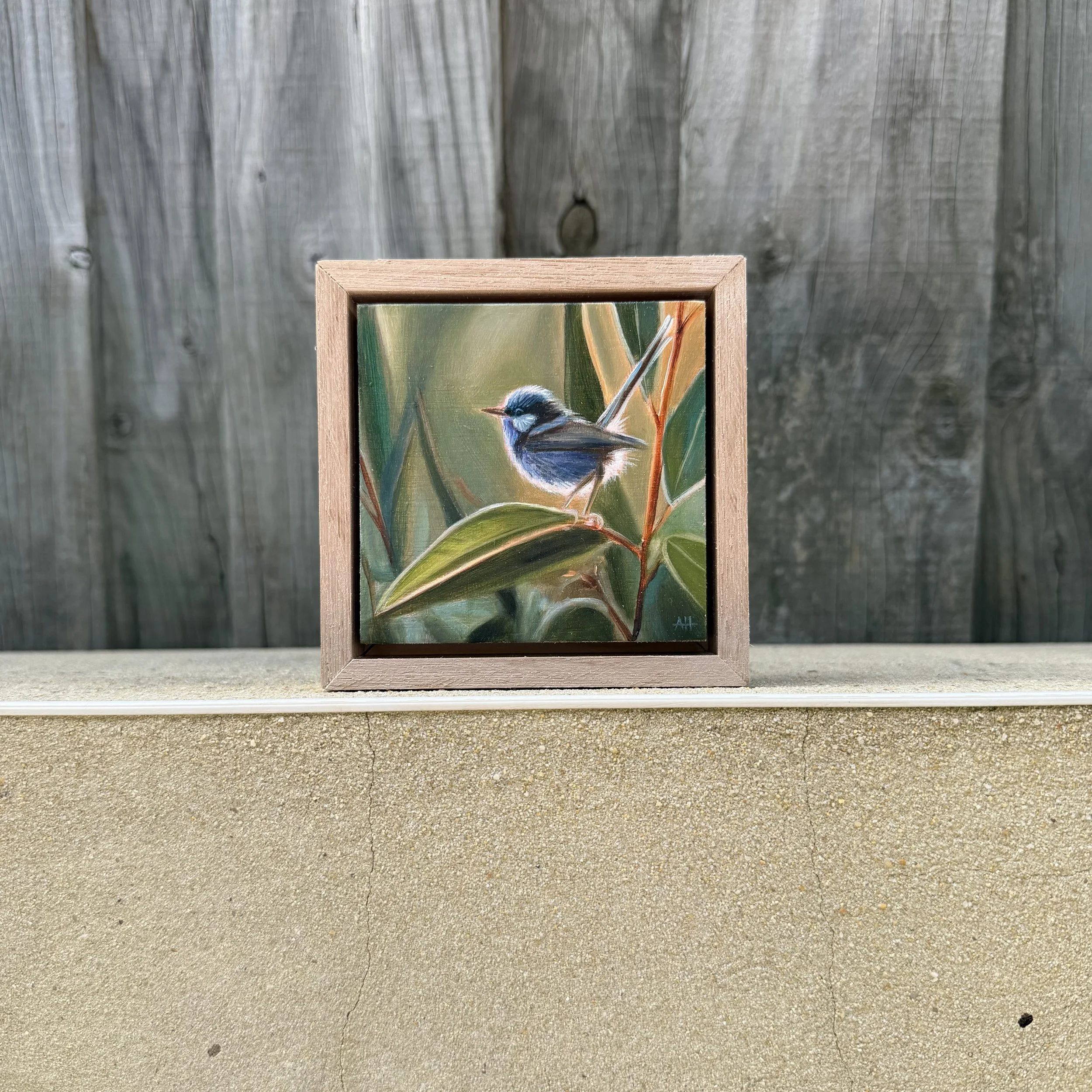 Photo 8-1-2026, 11 15 22 am.jpg