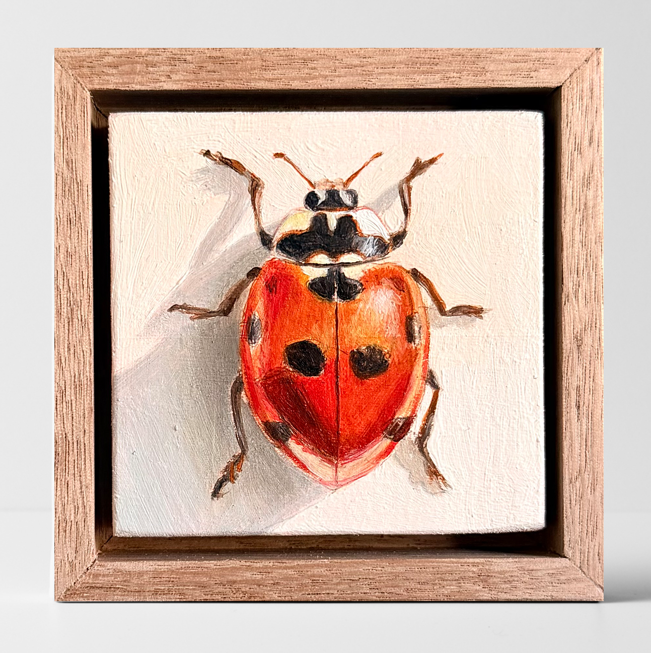 A Tiny Spirit (Ladybug).png