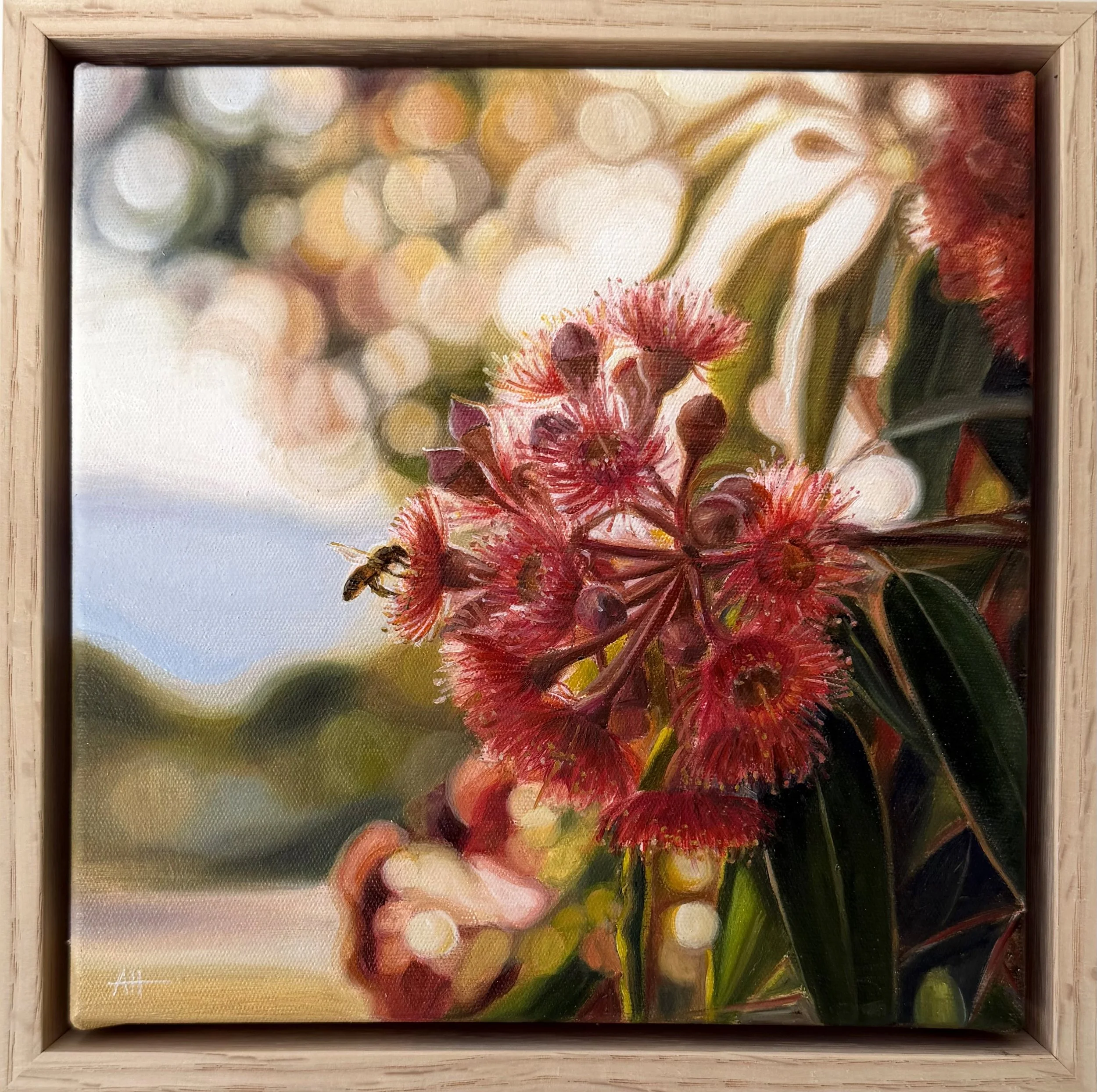 red gums