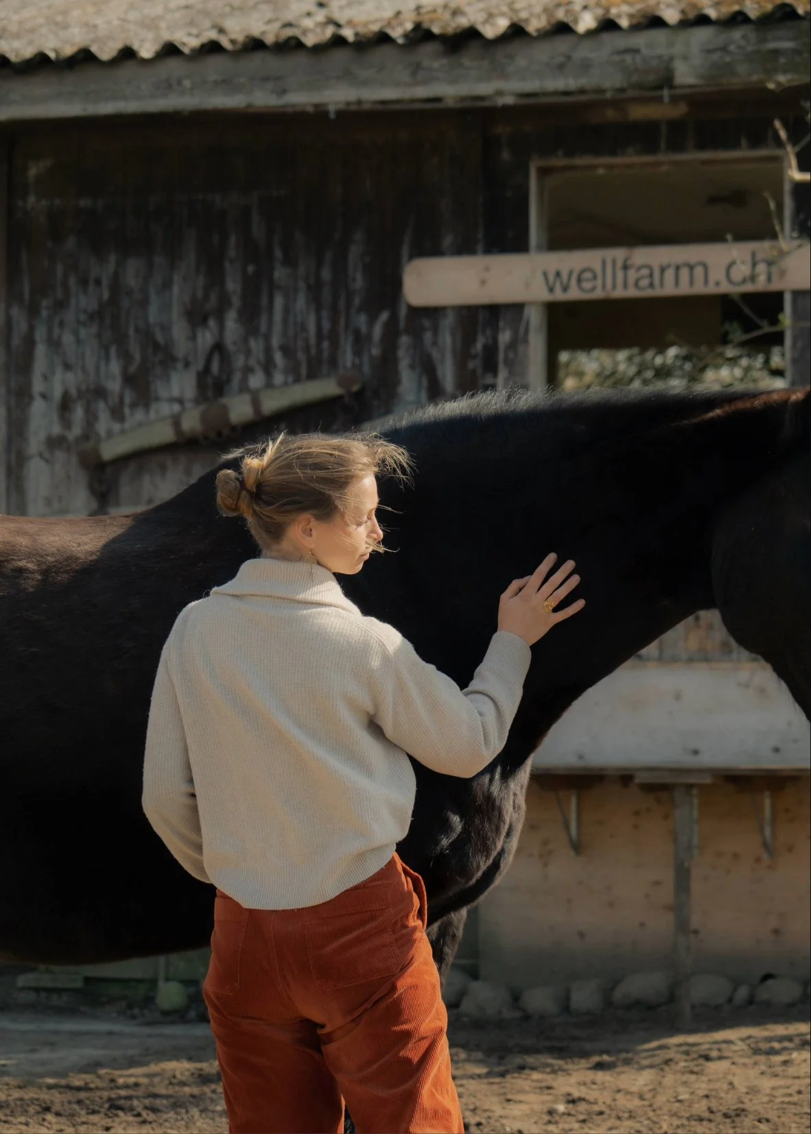 Frau mit Pferd und im Hintergrund den Stall von WellFarm.
