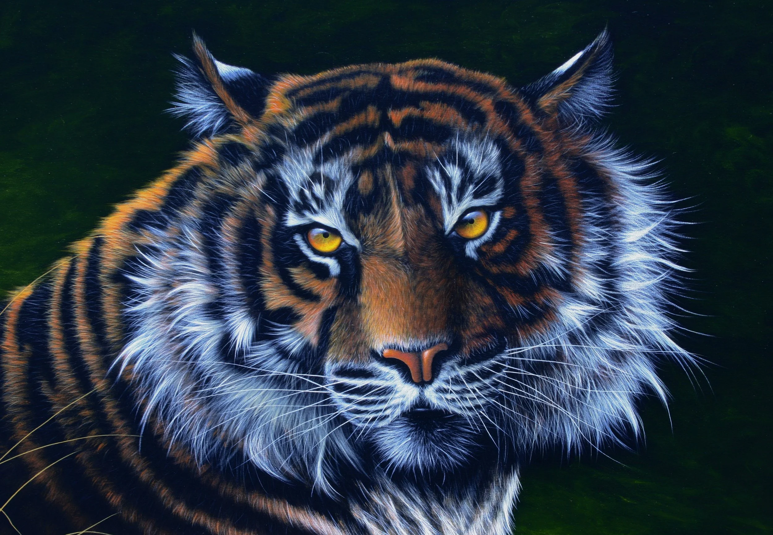 'Don't mess!' Sumatran tiger
Mixed media on canvas.
The Sumatran tiger is one of the most attractive tigers having longest fur around the neck of all the tigers.
