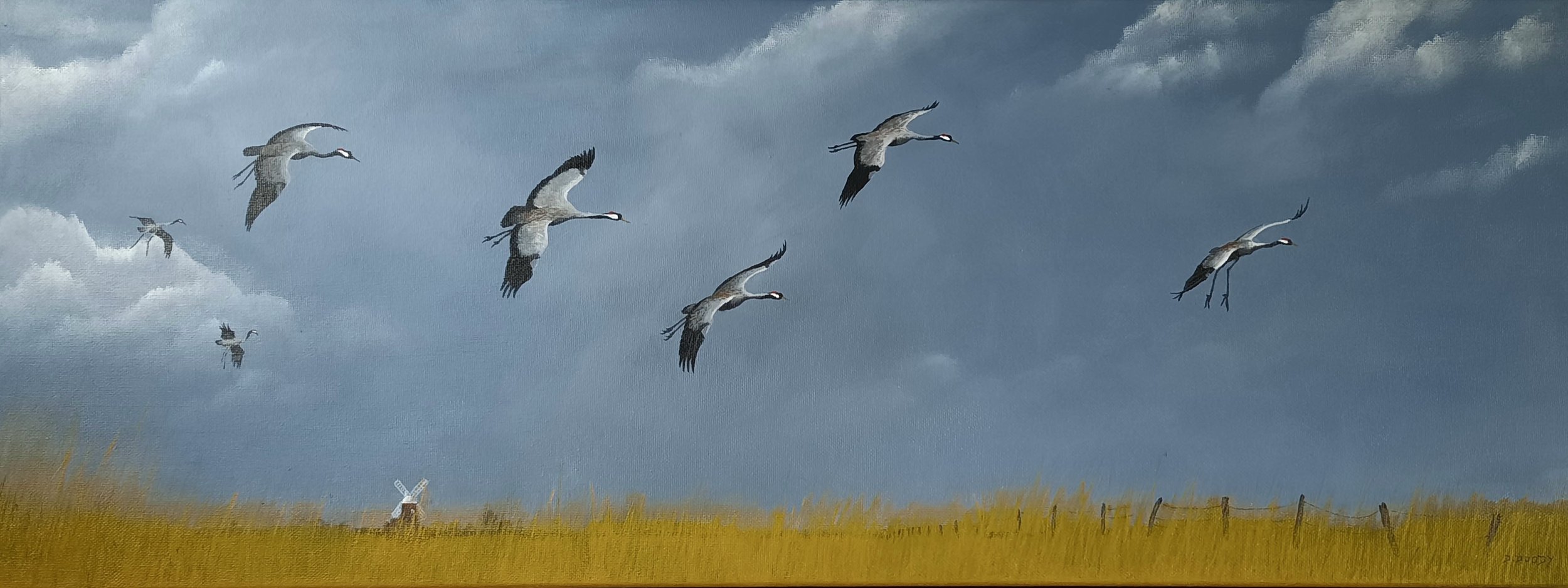 'CRANES LANDING AT CLEY' Mixed media. The sight and sound of cranes dropping out of the sky unexpectedly is a birding joy.