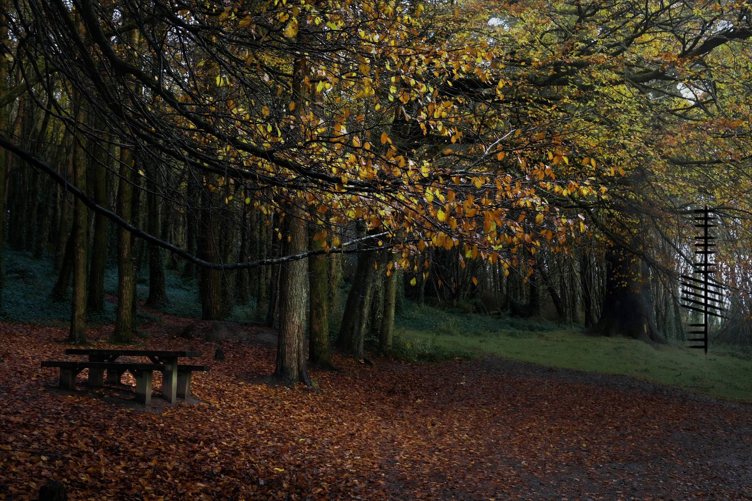 Autumn in West Cork 