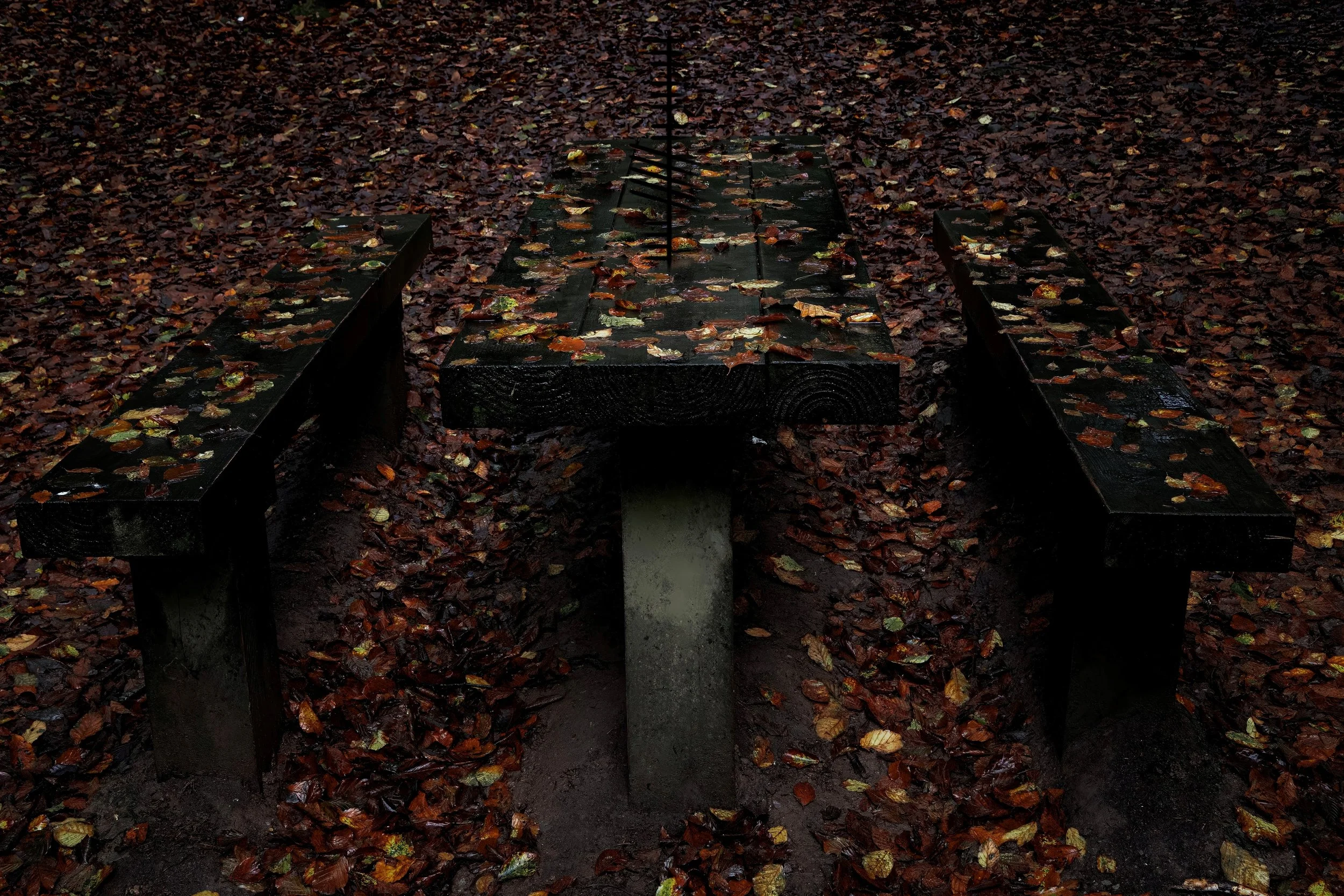 Sit and enjoy Autumn in Castlefreke 