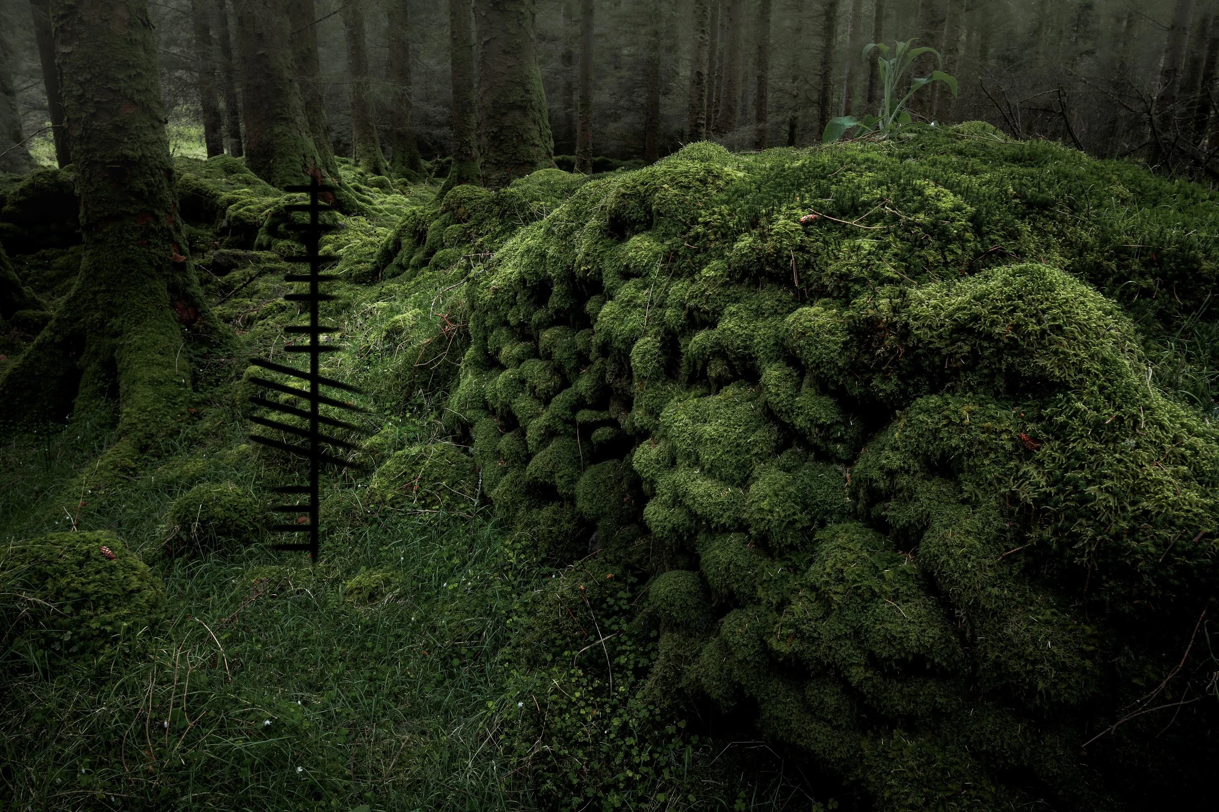 Gougane Barra Nature Reserve