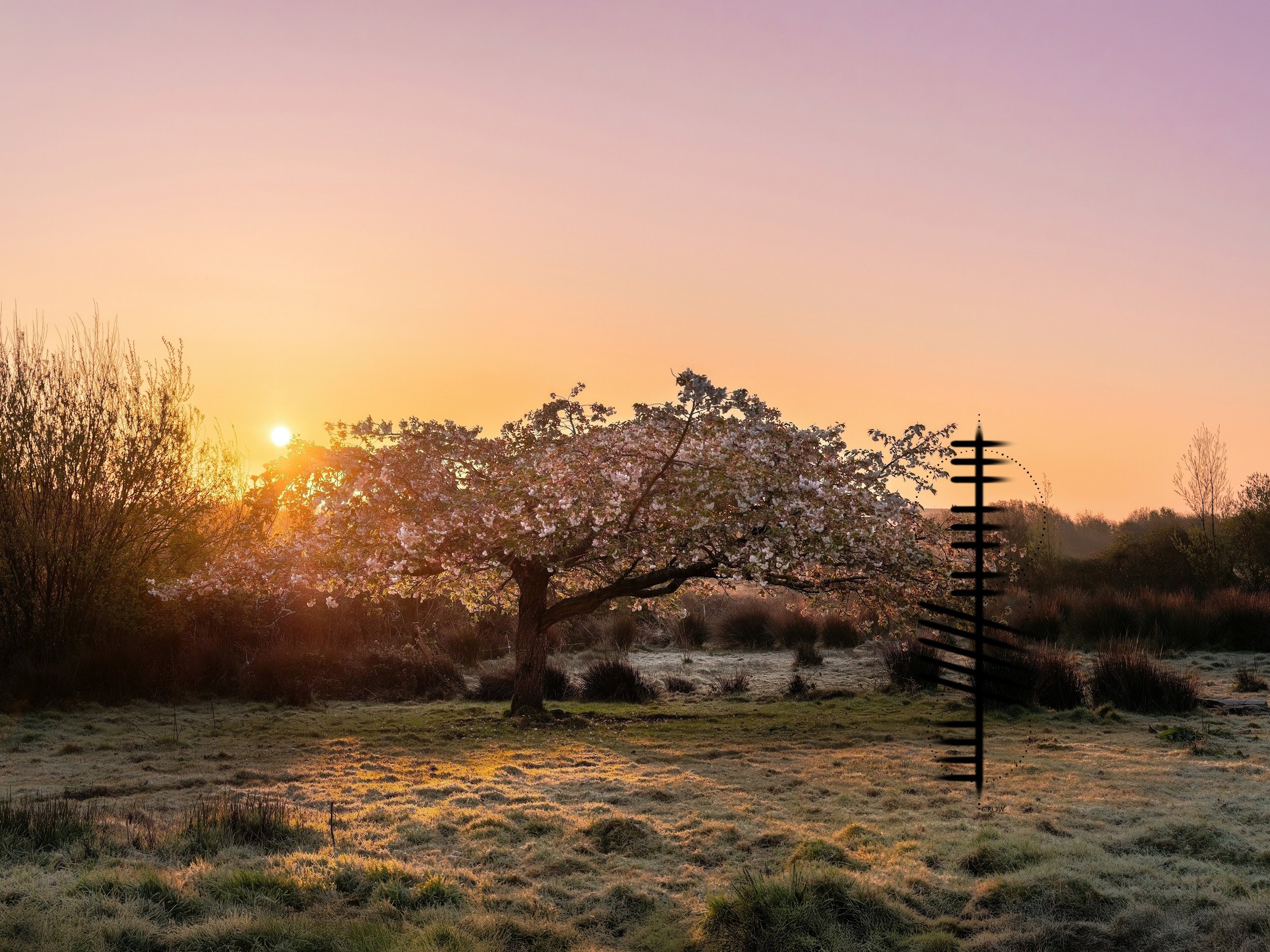 The Quiet Cold of West Cork Dawn