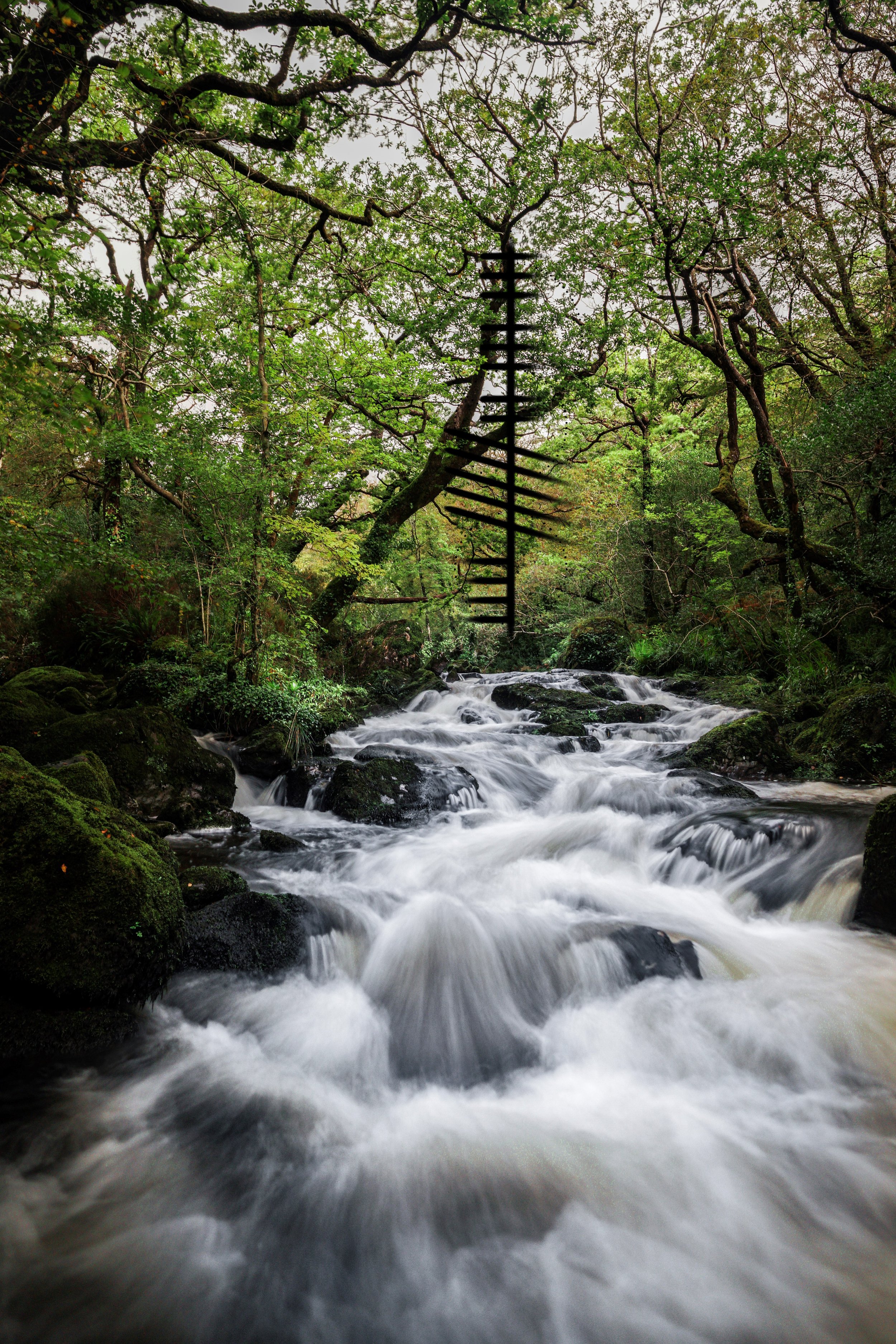 The Glengarif Nature Reserve