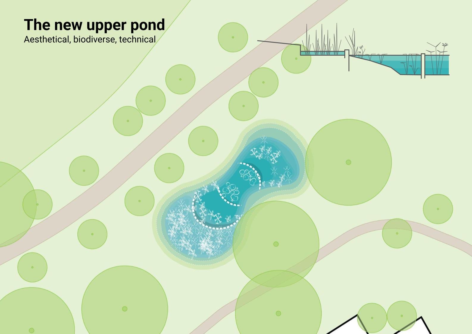 studio audal - Biodiverse zen pond (5).jpg