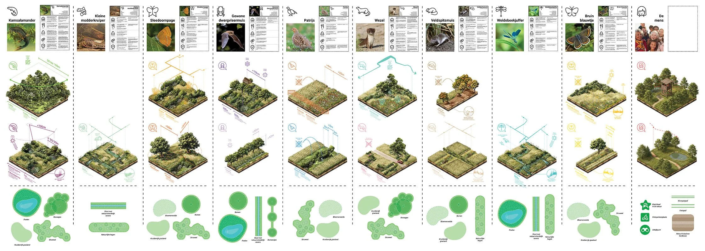 studio audal - Lingezegen (12).jpg