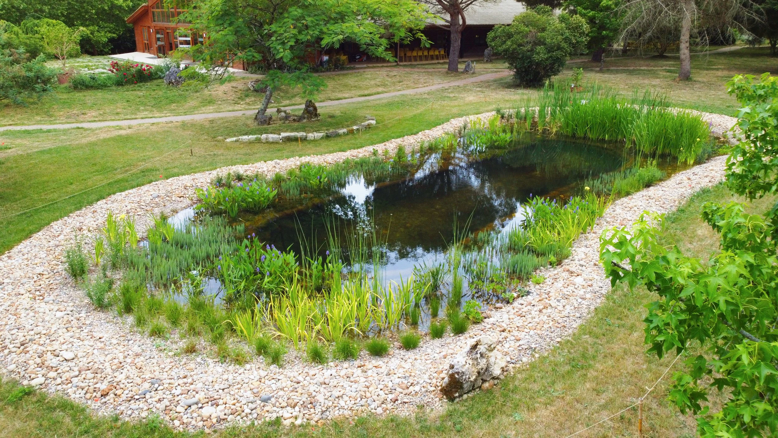 studio audal - Biodiverse zen pond (19).jpg