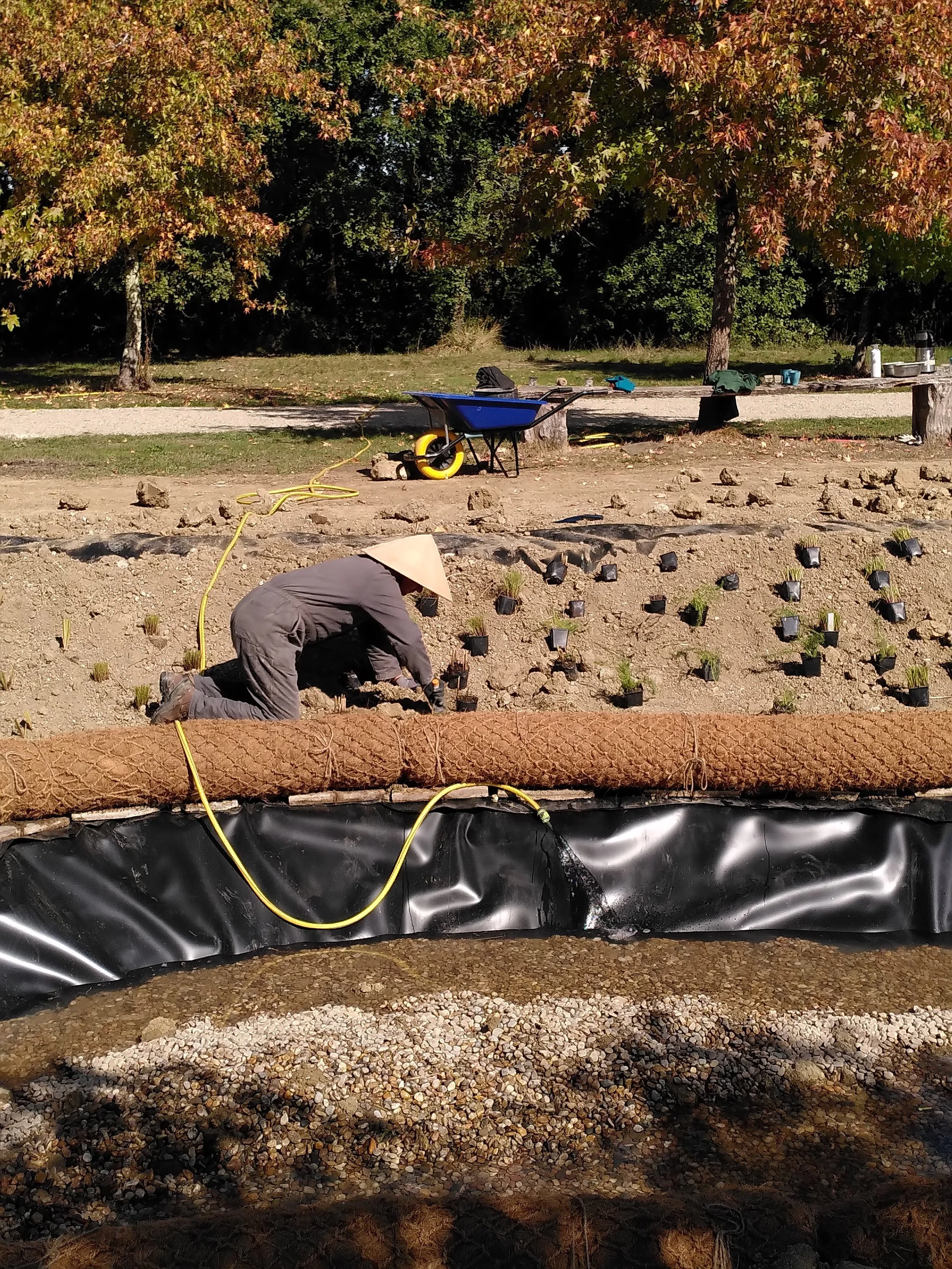 studio audal - Biodiverse zen pond (17).jpg