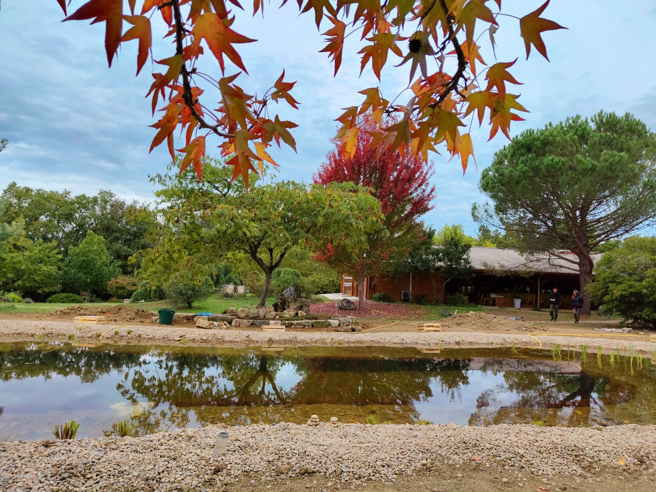 Biodiverse zen pond