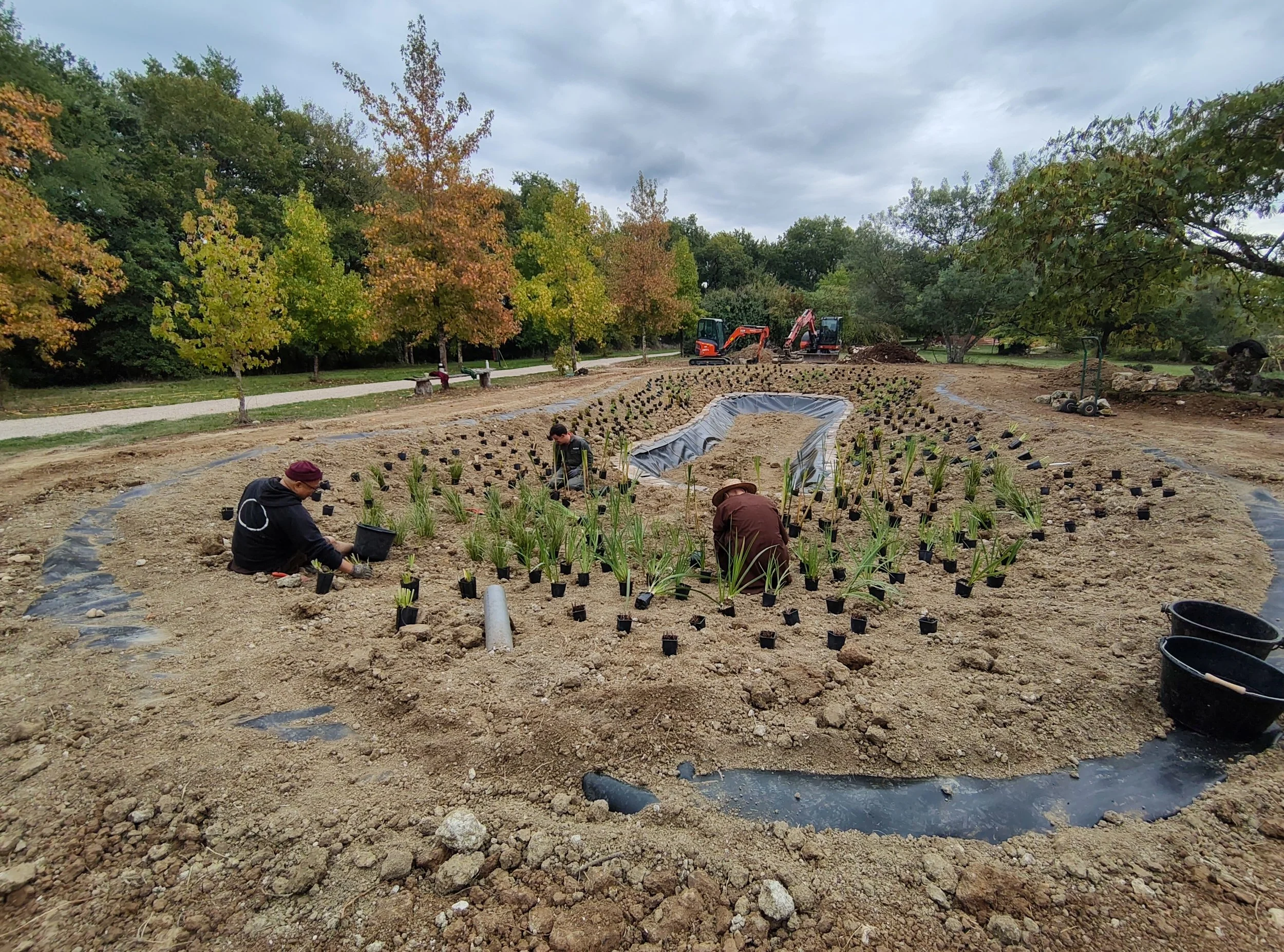 studio audal - Biodiverse zen pond (4).jpg