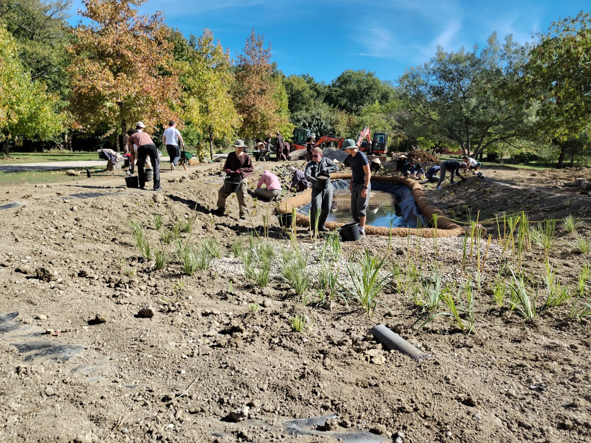 studio audal - Biodiverse zen pond (12).jpg