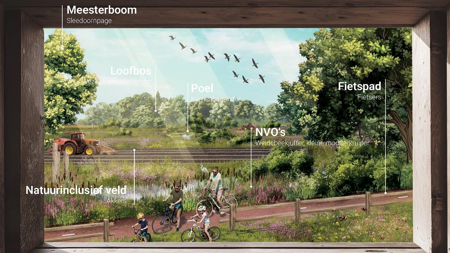 studio audal - Lingezegen_Page_12.jpg