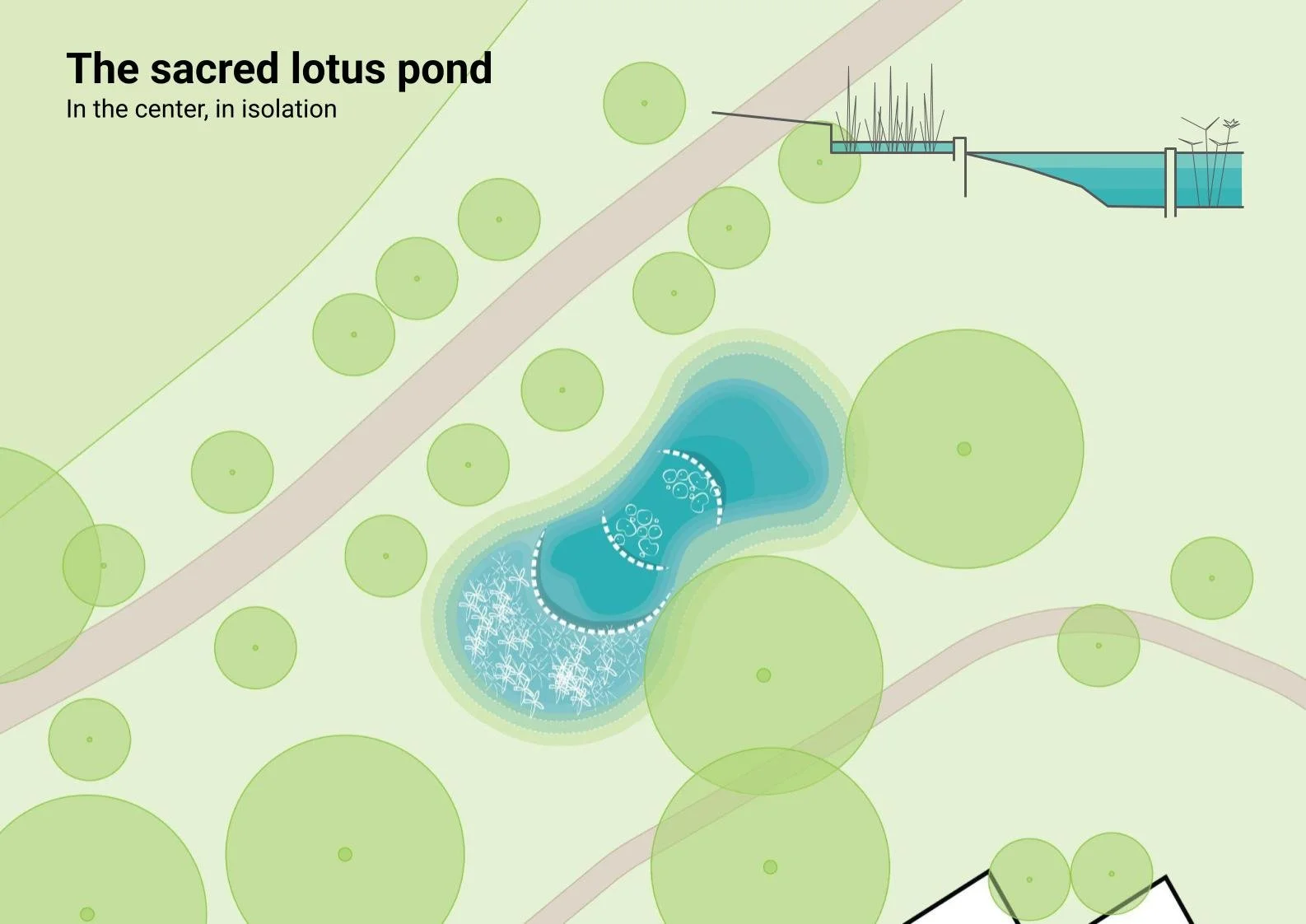 studio audal - Biodiverse zen pond (4).jpg