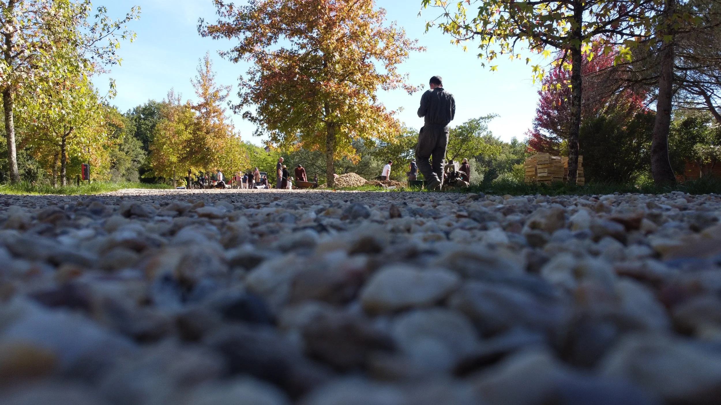 studio audal - Biodiverse zen pond (3).JPG