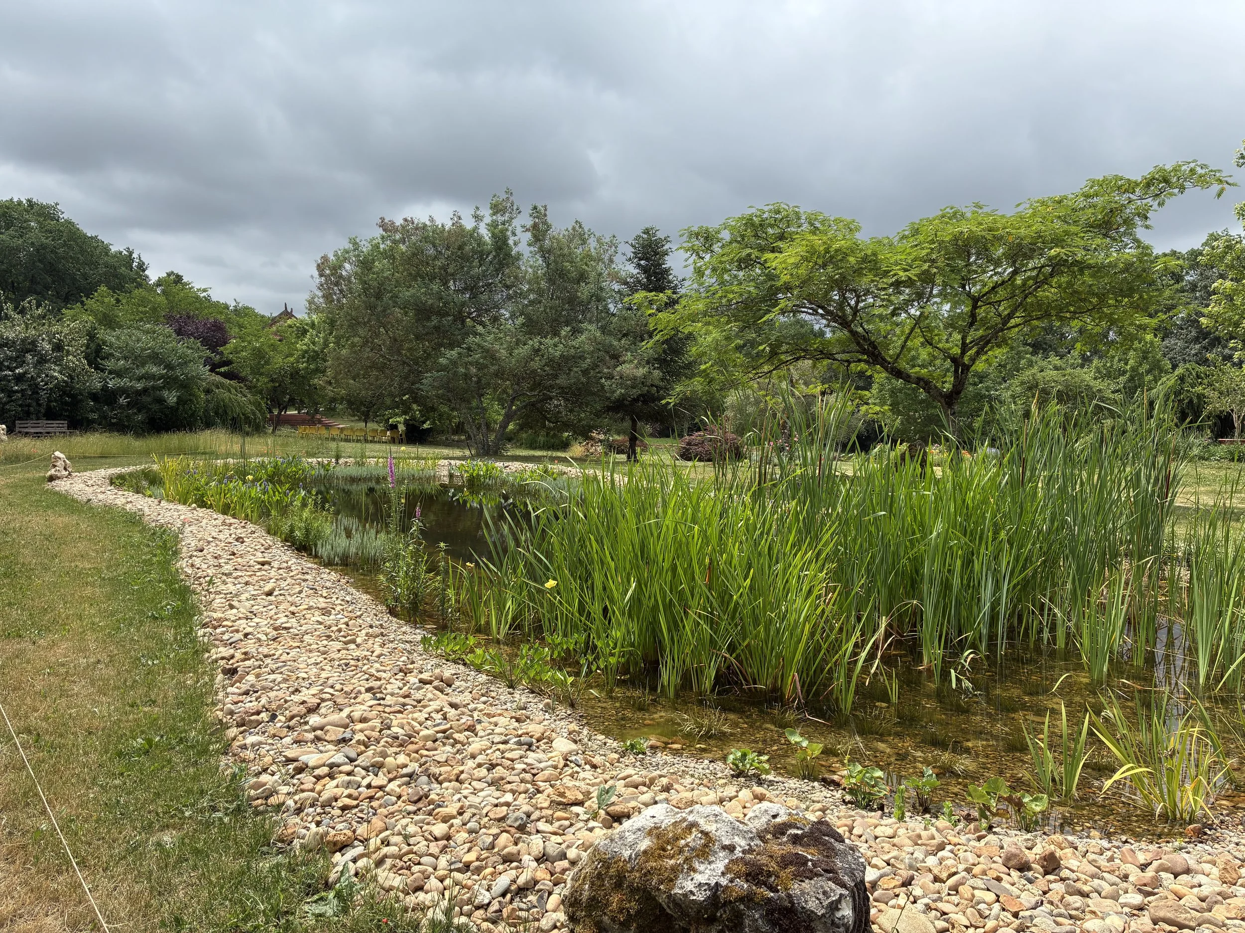studio audal - Biodiverse zen pond (8).jpeg