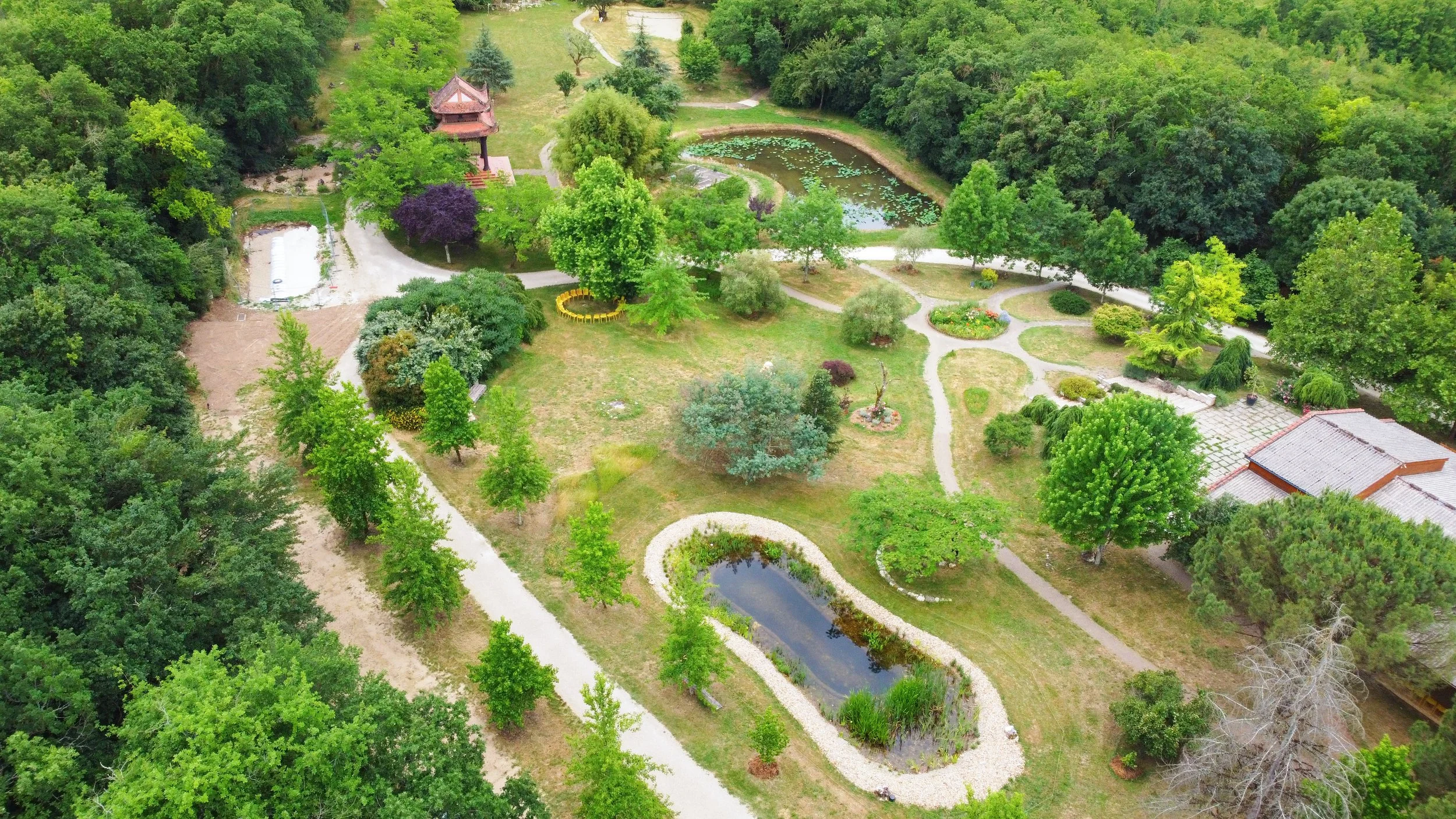 studio audal - Biodiverse zen pond (21).jpg