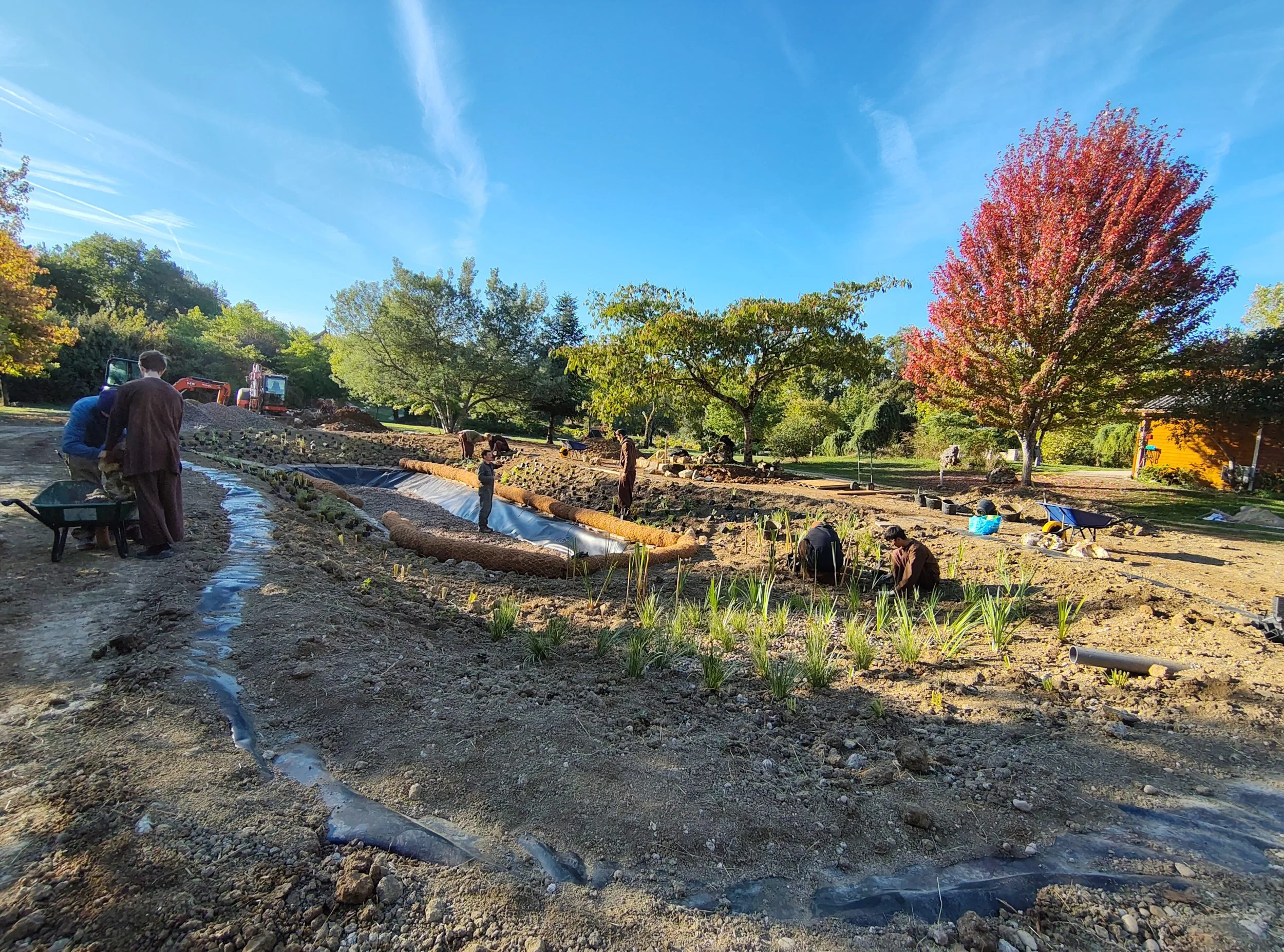 studio audal - Biodiverse zen pond (6).jpg