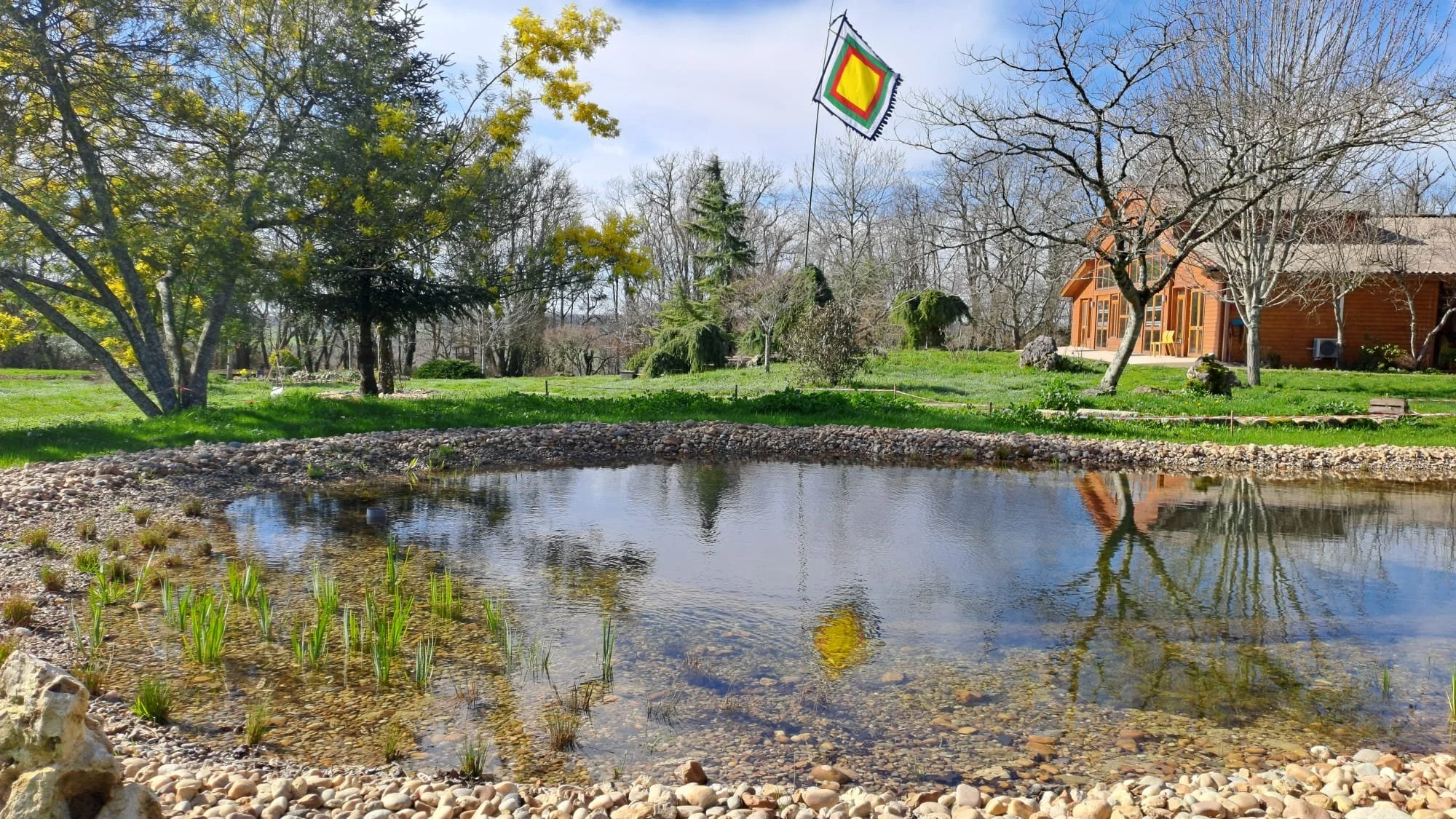 studio audal - Biodiverse zen pond (1).jpeg