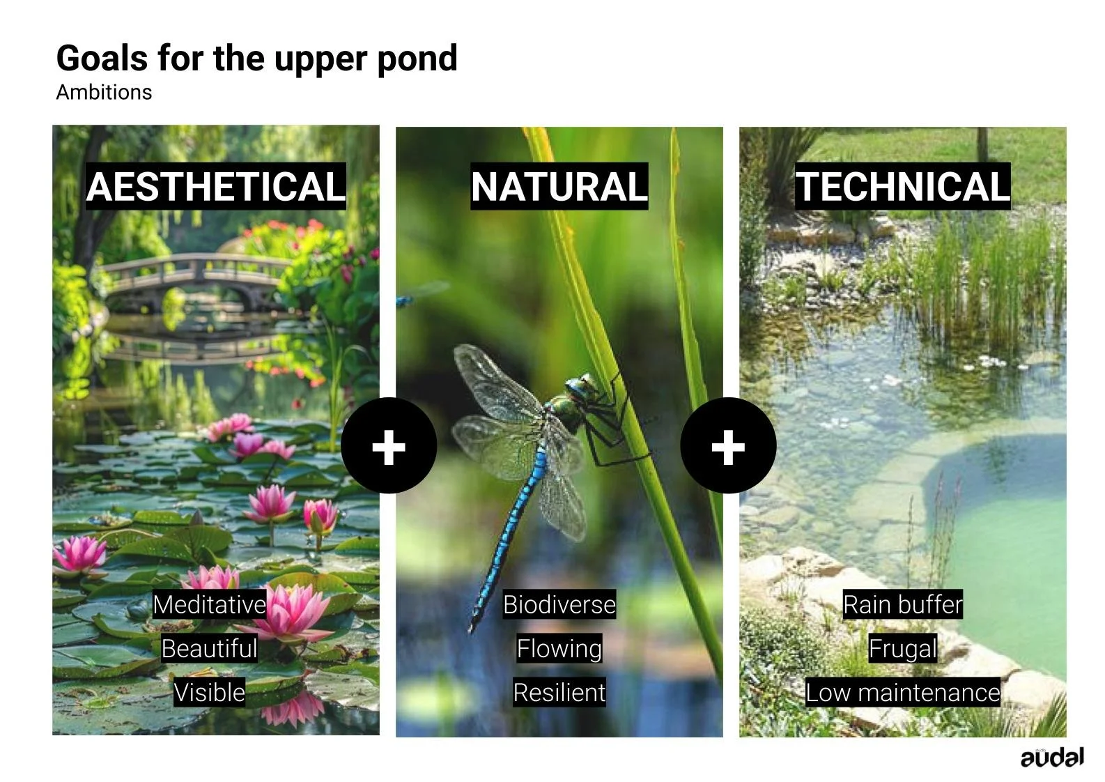 studio audal - Biodiverse zen pond (6).jpg