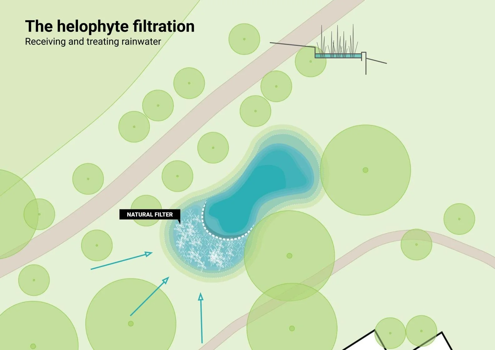 studio audal - Biodiverse zen pond (3).jpg