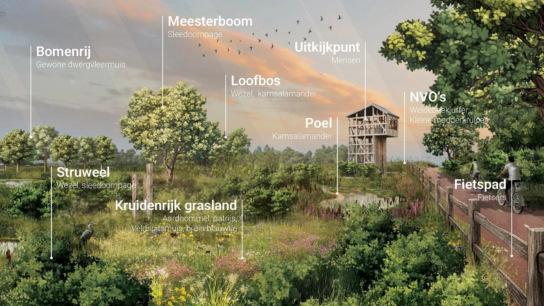 studio audal - Lingezegen_Page_11.jpg