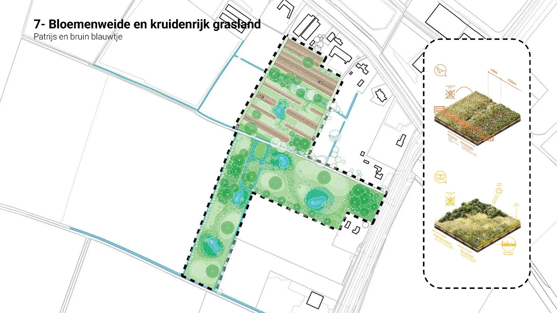 studio audal - Lingezegen_Page_08.jpg