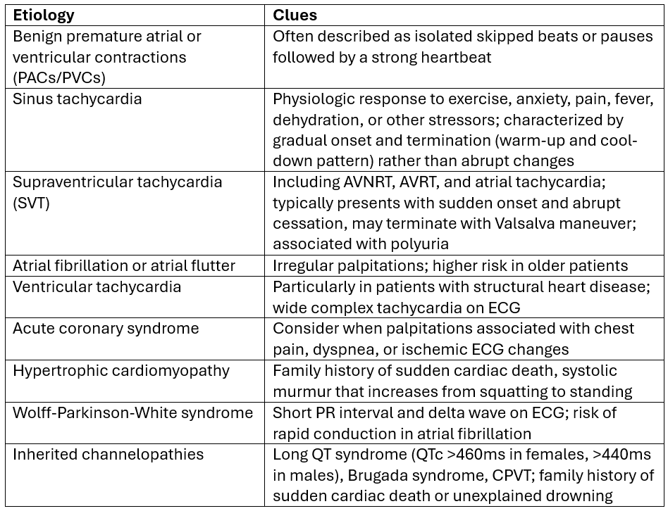 cardiac differential diagnoses for palpitations