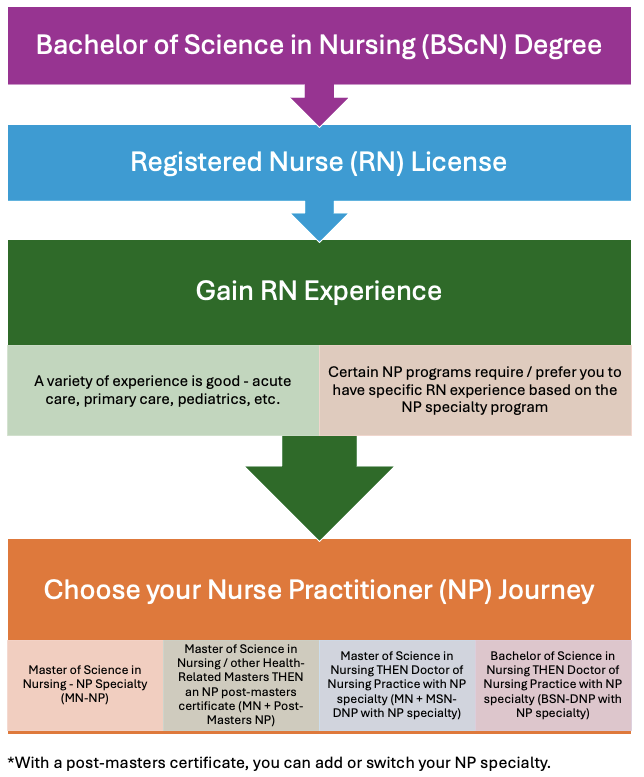how to become a nurse practitioner in the US/states