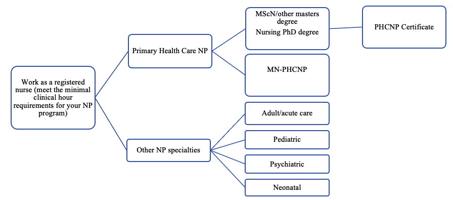 How to become a Nurse Practitioner in Canada? — NP Reasoning