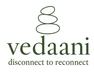 VedaNi logo featuring a spiral symbol above the company name and the tagline 'disconnect to reconnect'.