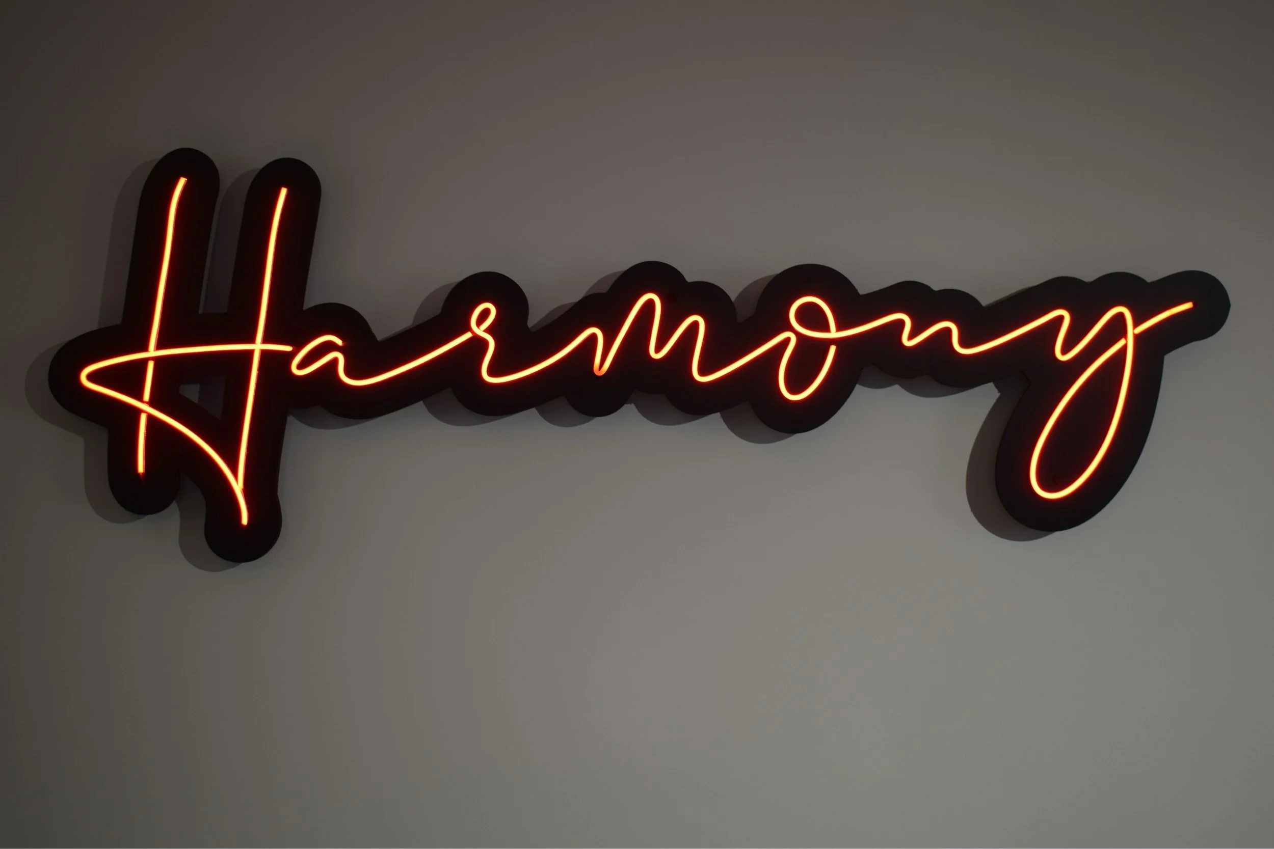 Unlock Your Inner Harmony: Community Wellness Charity Event