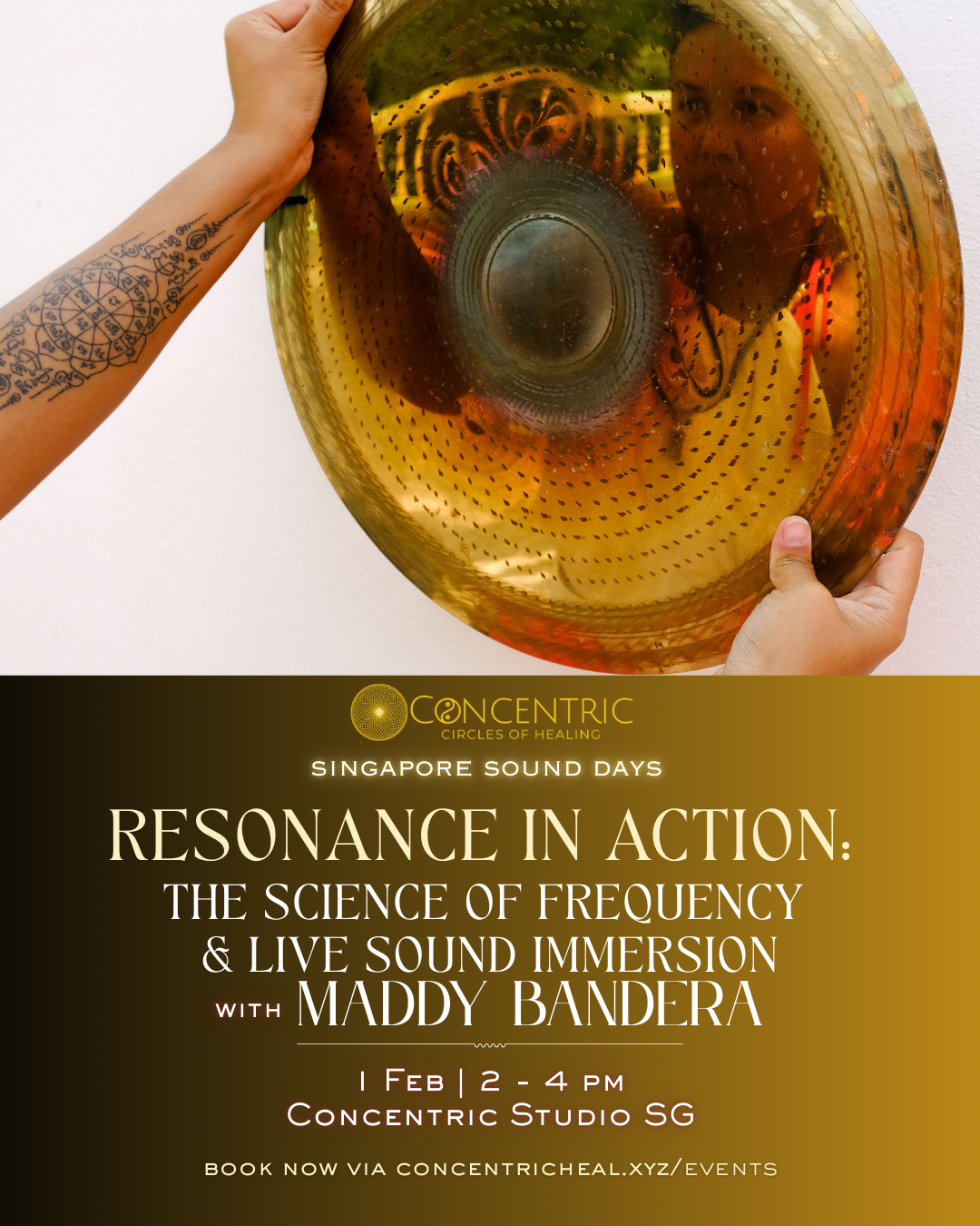 Resonance in Action: The Science of Frequency &amp; Live Sound Immersion
