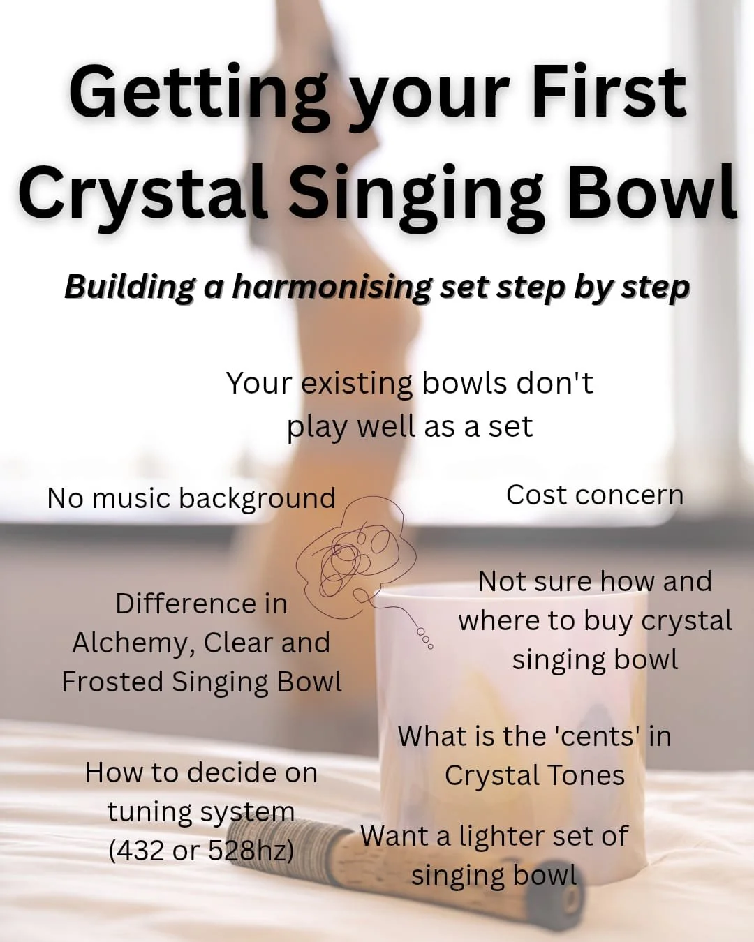 WhatsApp Image 2026-02-11 at 4.15.49 PM.jpeg