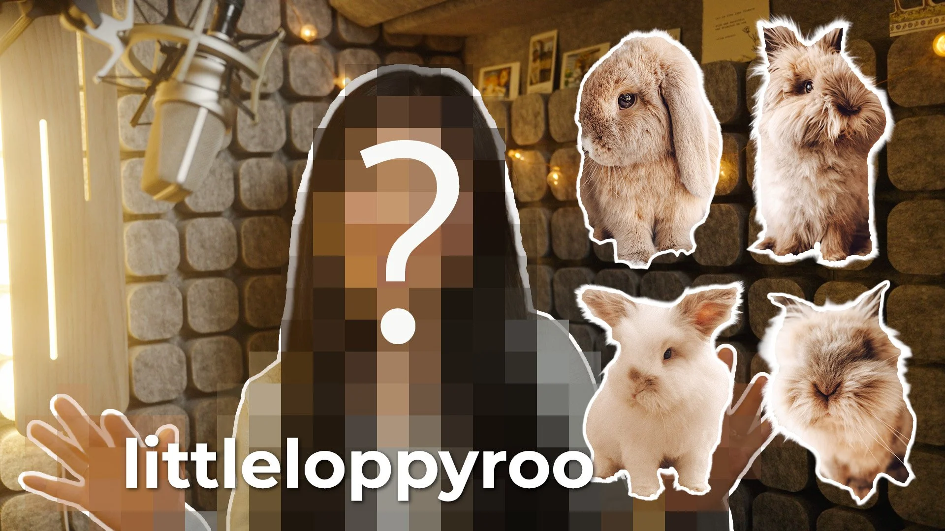 What Four Bunnies Have Taught Me