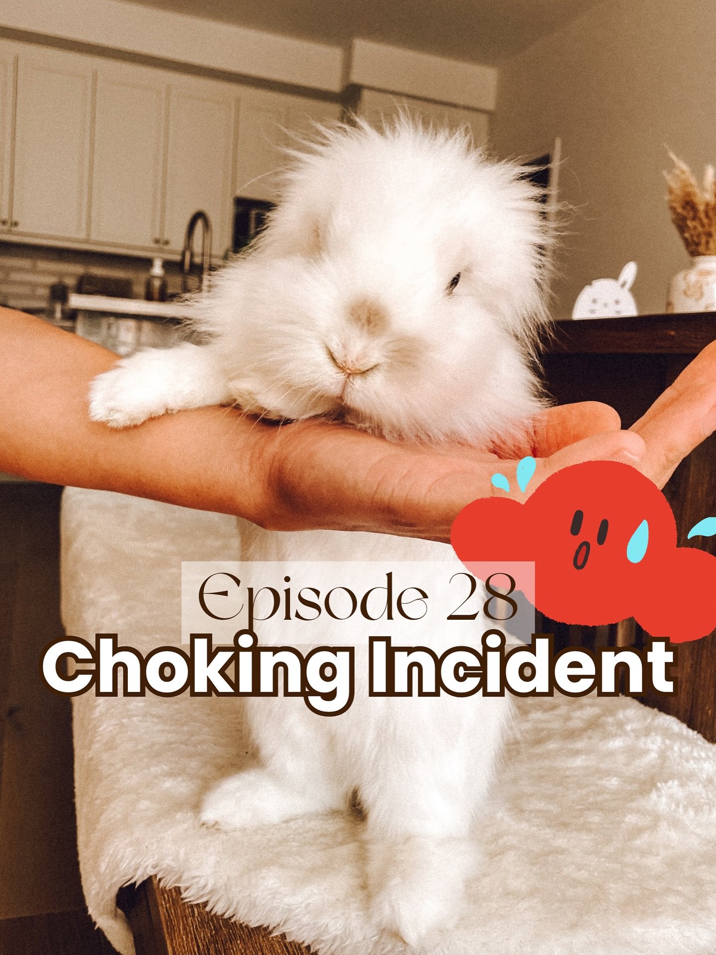 We experienced something very scary a little while ago: Kumo choking. Tune in to this episode to listen to the story of what happened, including how we performed the bunny heimlich maneuver. Thankfully, Kumo was okay and has been perfectly fine since