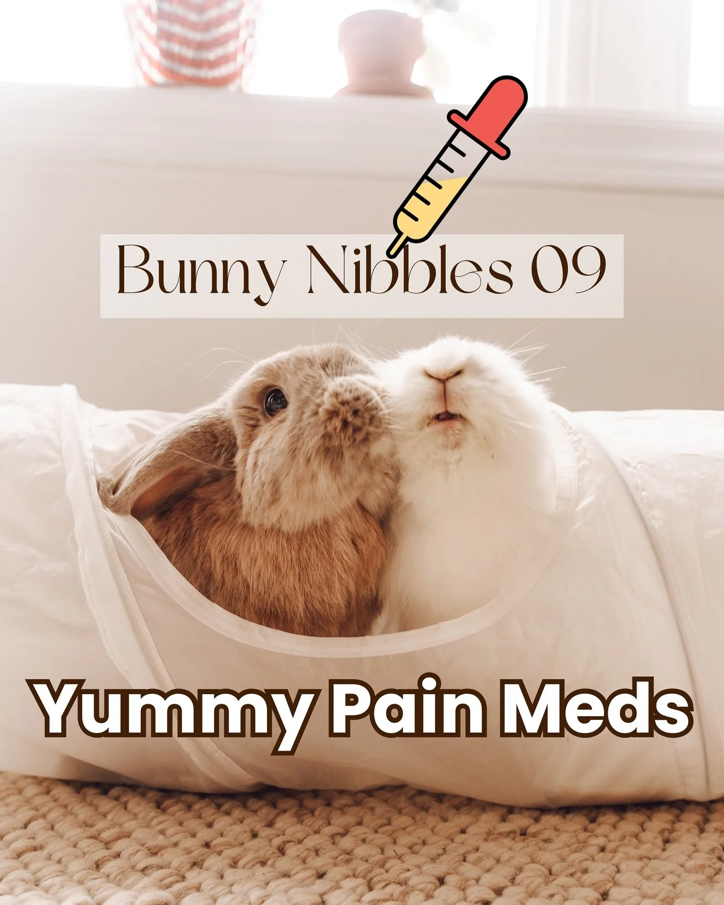 After their dental procedures, the bunbuns get pain meds in tutti frutti flavour 🍓and they&rsquo;re obsessed with it! Tune in to this Nibble to hear about how Roo &amp; Kumo each gobble these meds up in their own unique way. It&rsquo;s adorable. Swi