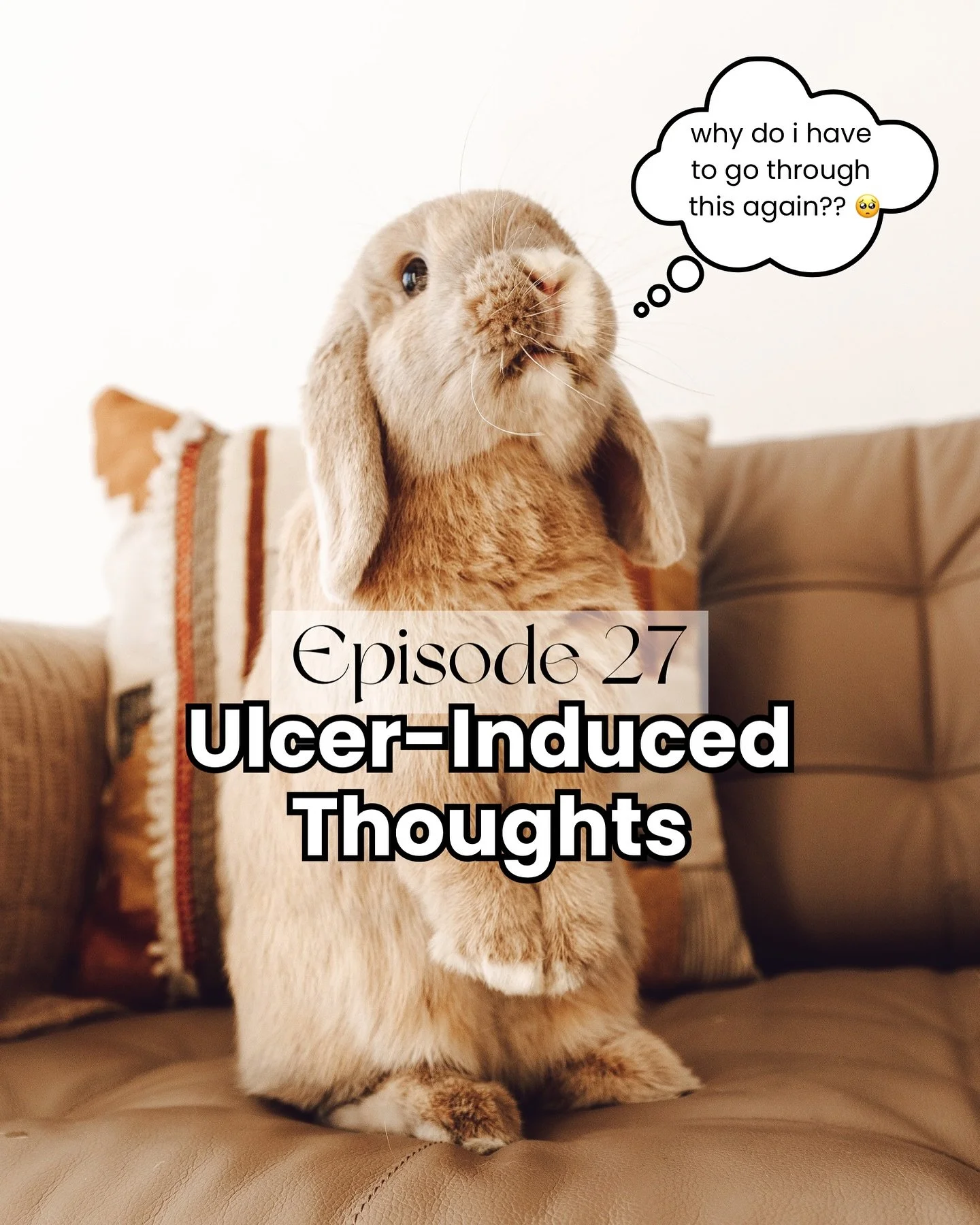 Unfortunately, Roo has corneal ulcers again. Today&rsquo;s episode is an open and raw sharing of the thoughts and feelings of being a bunmom in situations like this. Even a problem as seemingly &ldquo;minor&rdquo; (compared to other health issues) ca