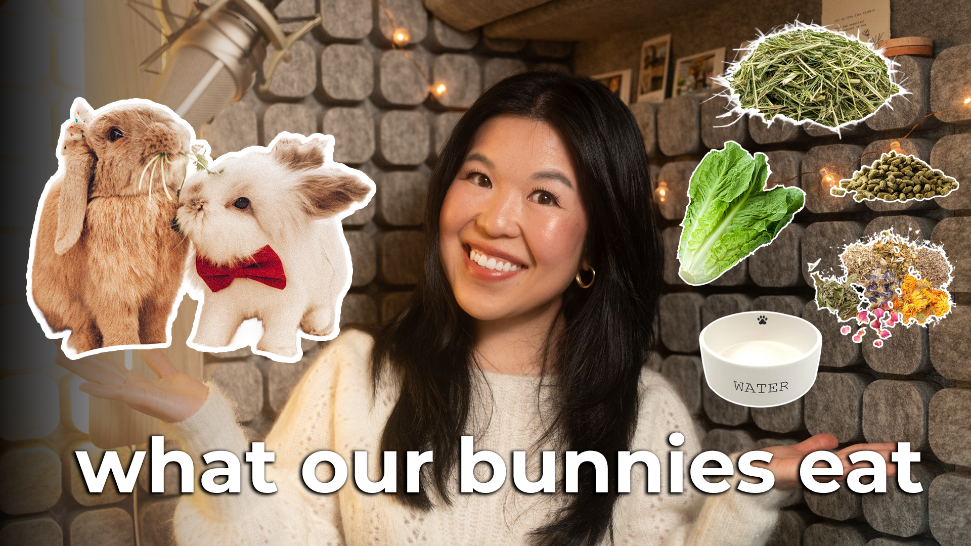 What Our Bunnies Eat (Rabbit Nutrition)