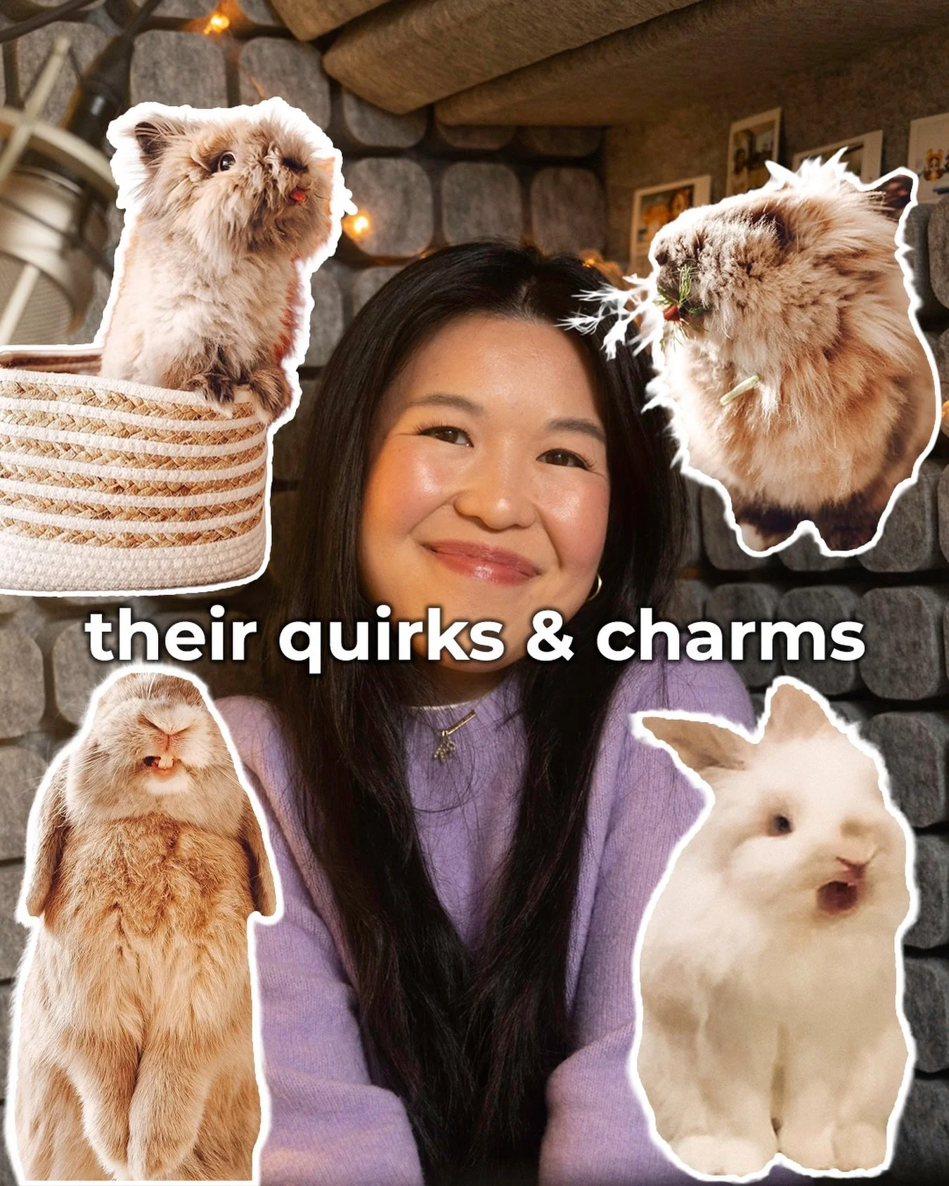 Hello Fluffle Fam! Today&rsquo;s episode is a loving tribute to the very specific, very individual, sometimes completely inexplicable things that my four bunnies do/did. From Roo&rsquo;s mysterious rug opinions and snow flops, to Kumo&rsquo;s upstair