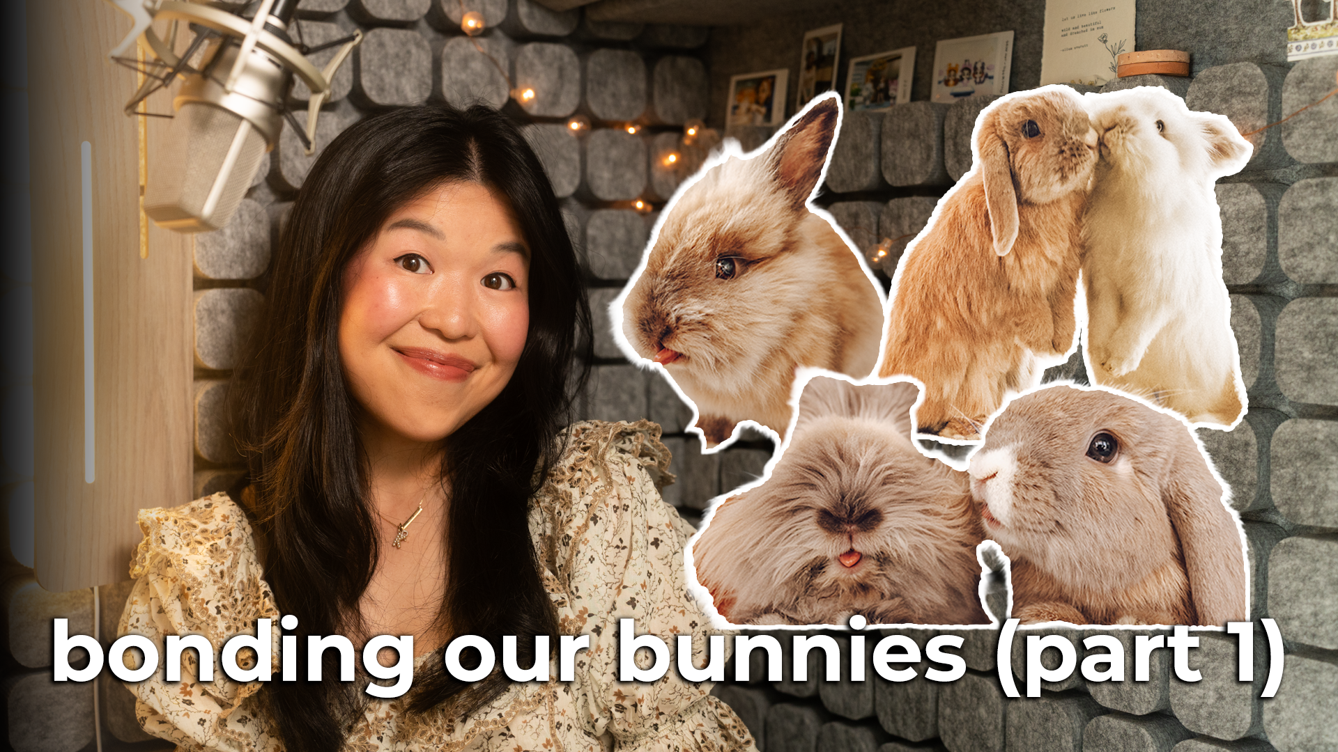 Bonding Our Bunnies (Part 1)