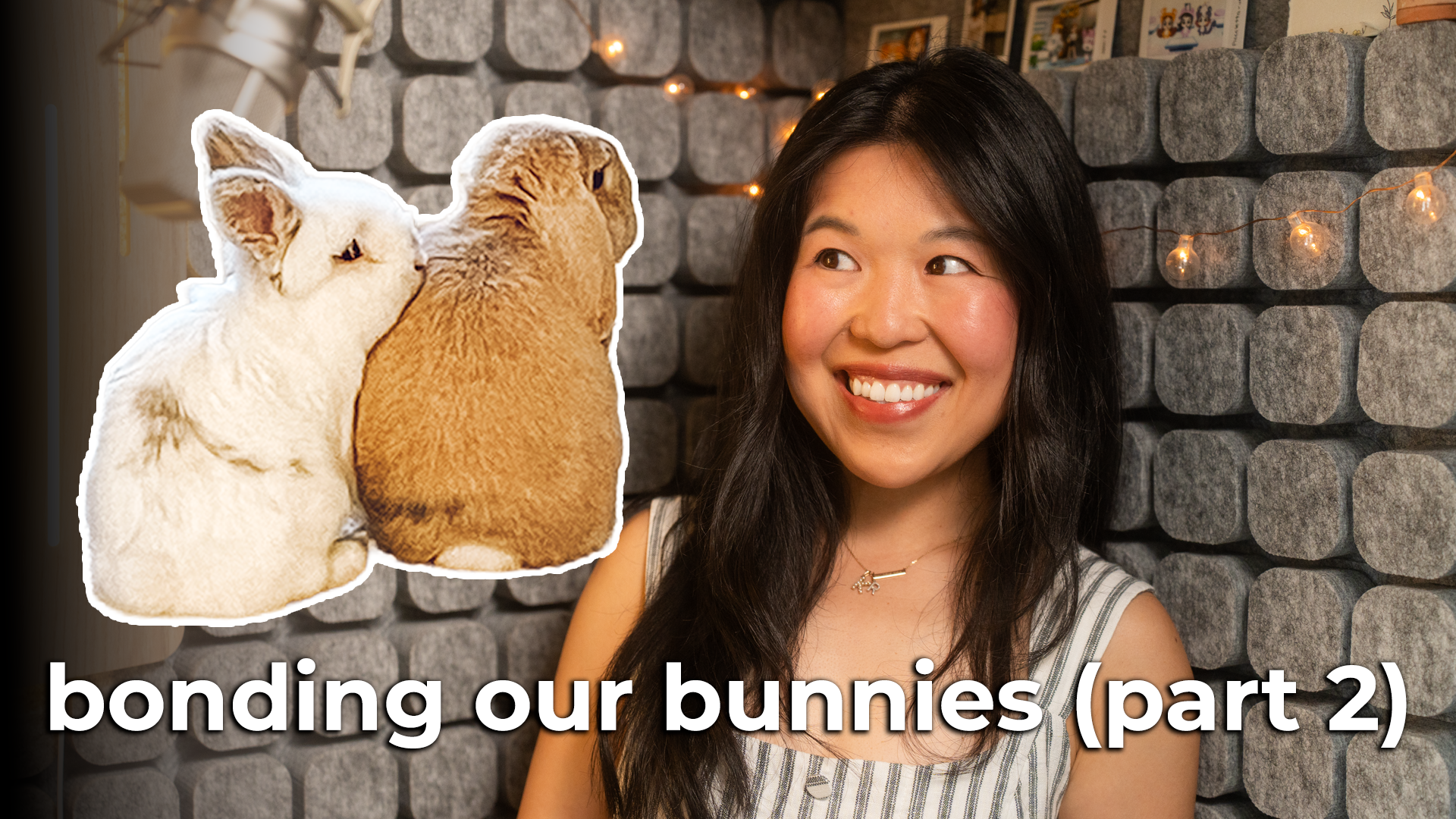 Bonding Our Bunnies (Part 2) - Unconventional Methods